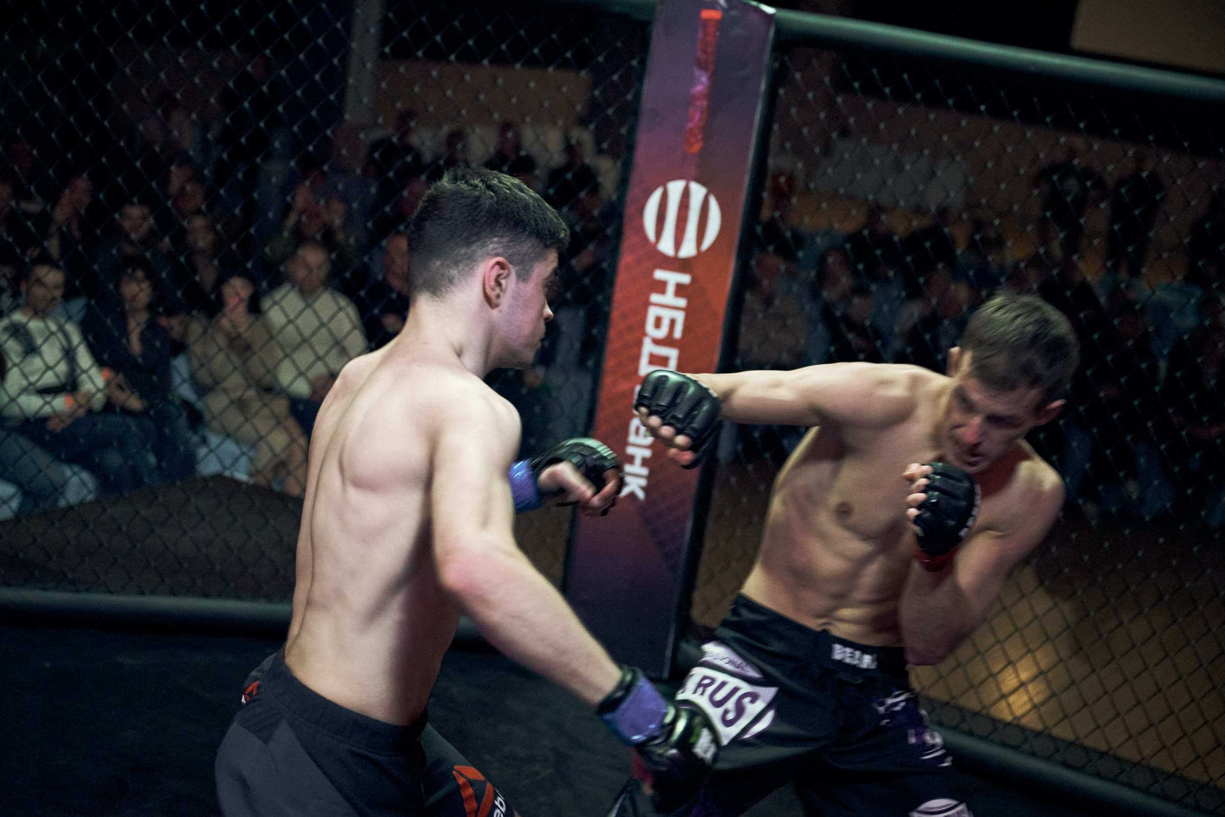 Бои. Маляревич Дмитрий свадебный фотограф