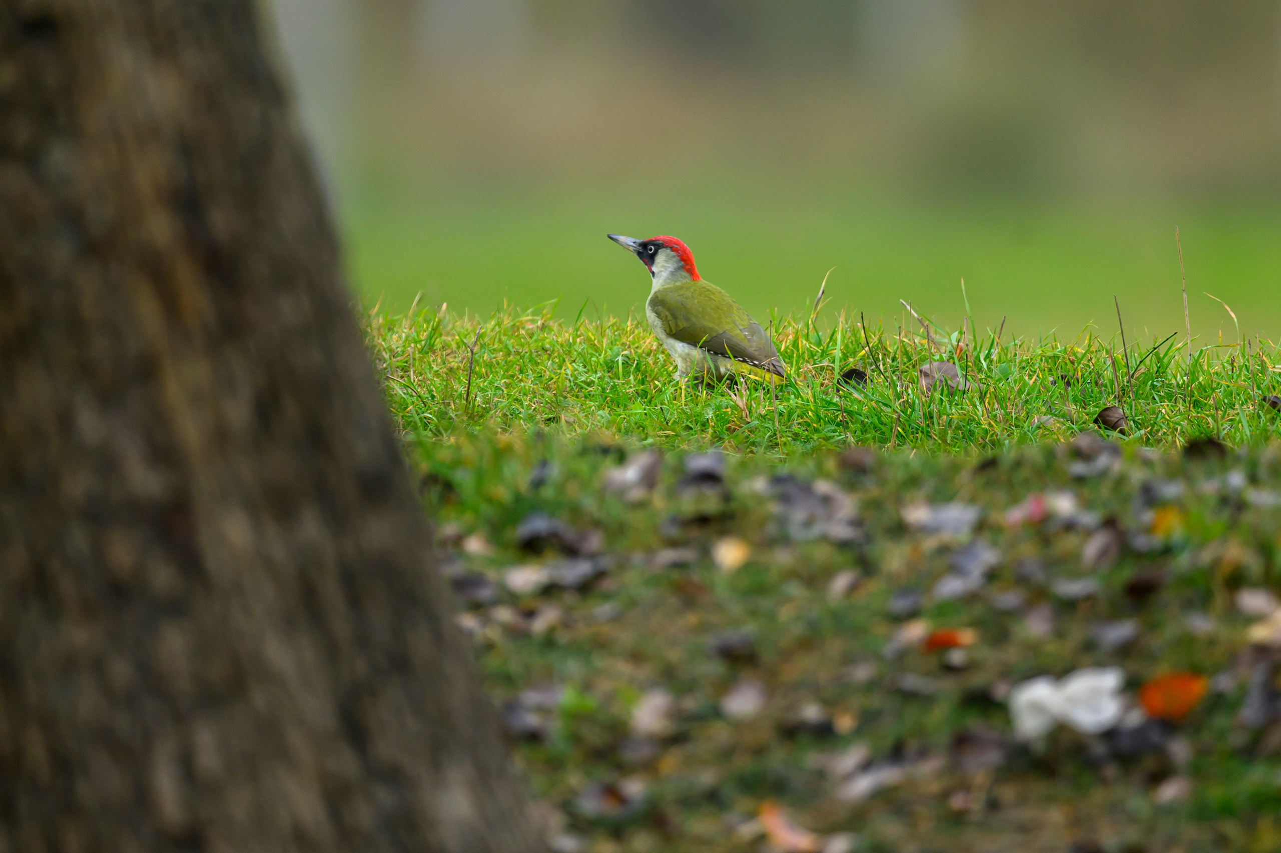 Дагестан. Ноябрь 2025. Фотограф Сергей Пупонин