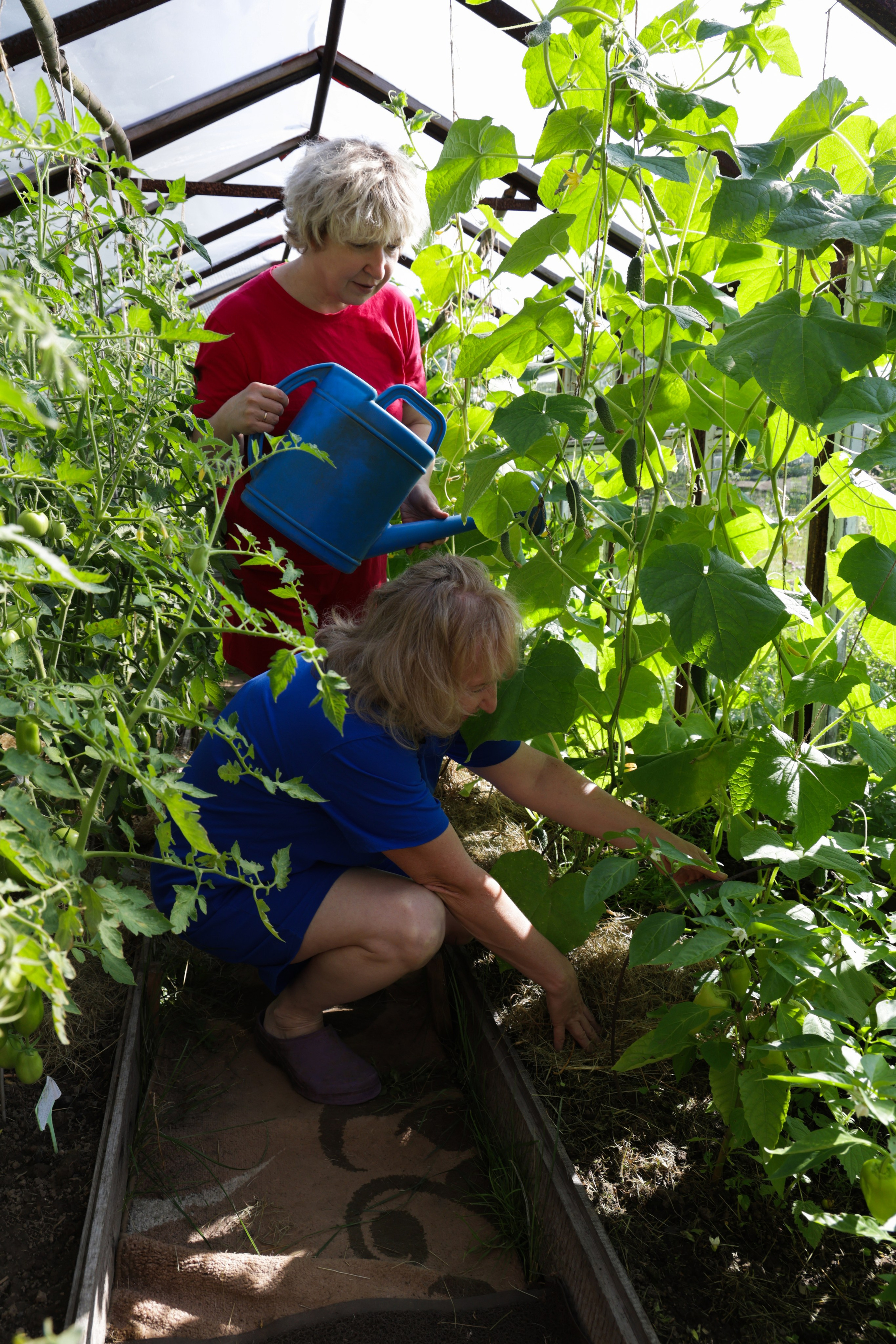 Dacha. Portrait photographer based in Toronto — Blinova Mariia