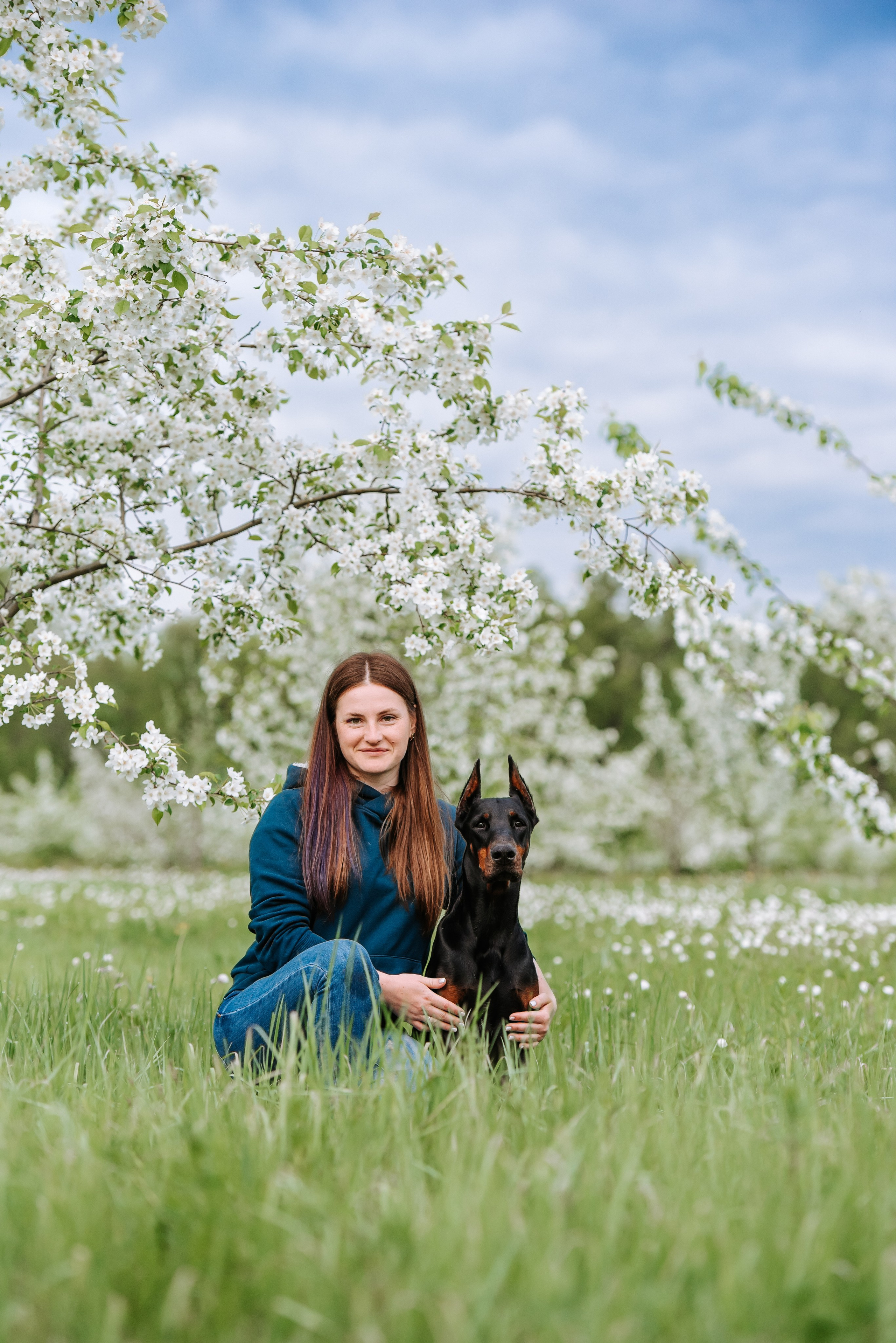 Цветение с доберманами. Фотограф Диана Оленина Красноярск / Братск