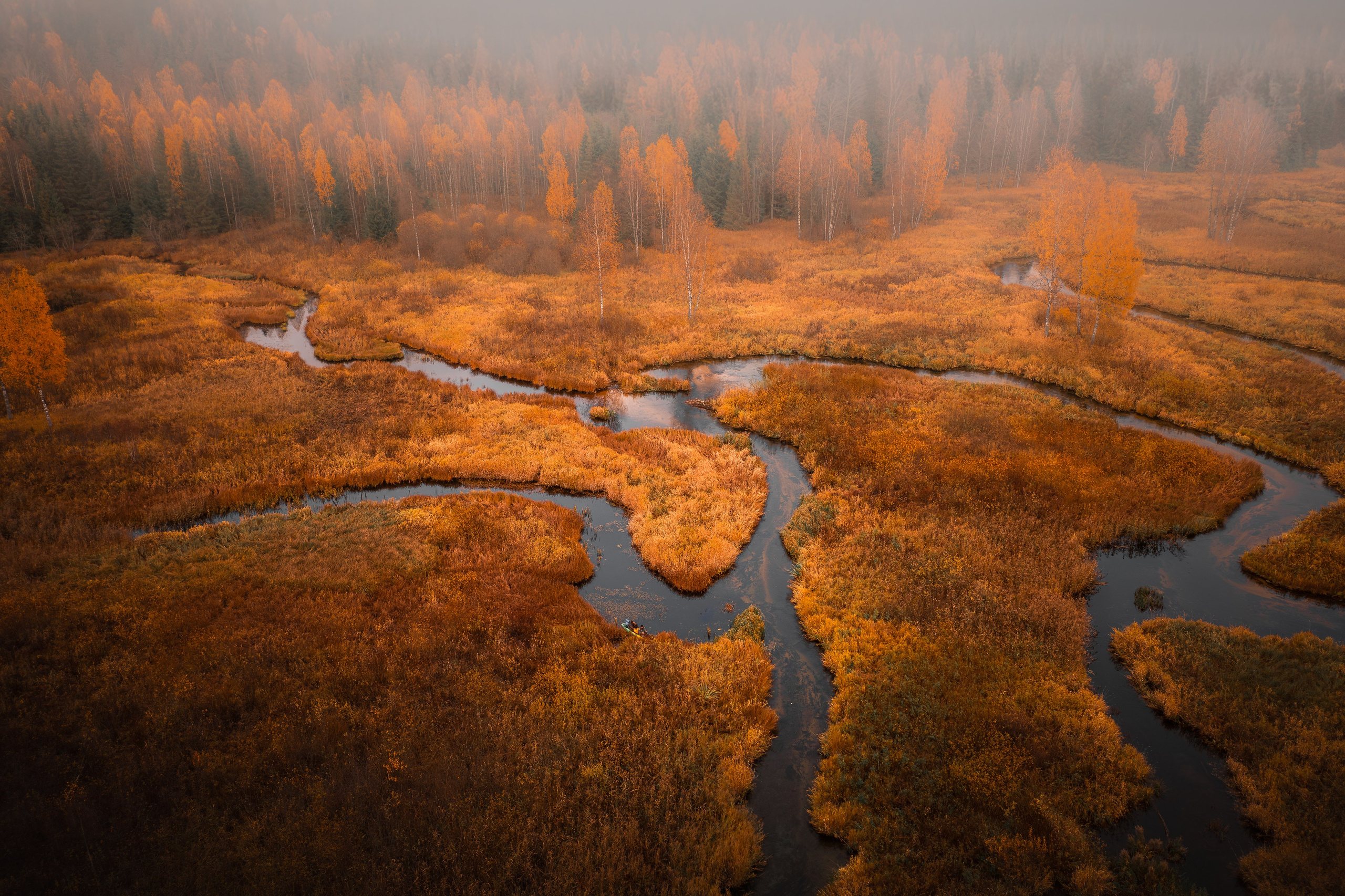 Landscape. Фотограф Дикой природы, пейзажа и спорта. Pavel Che