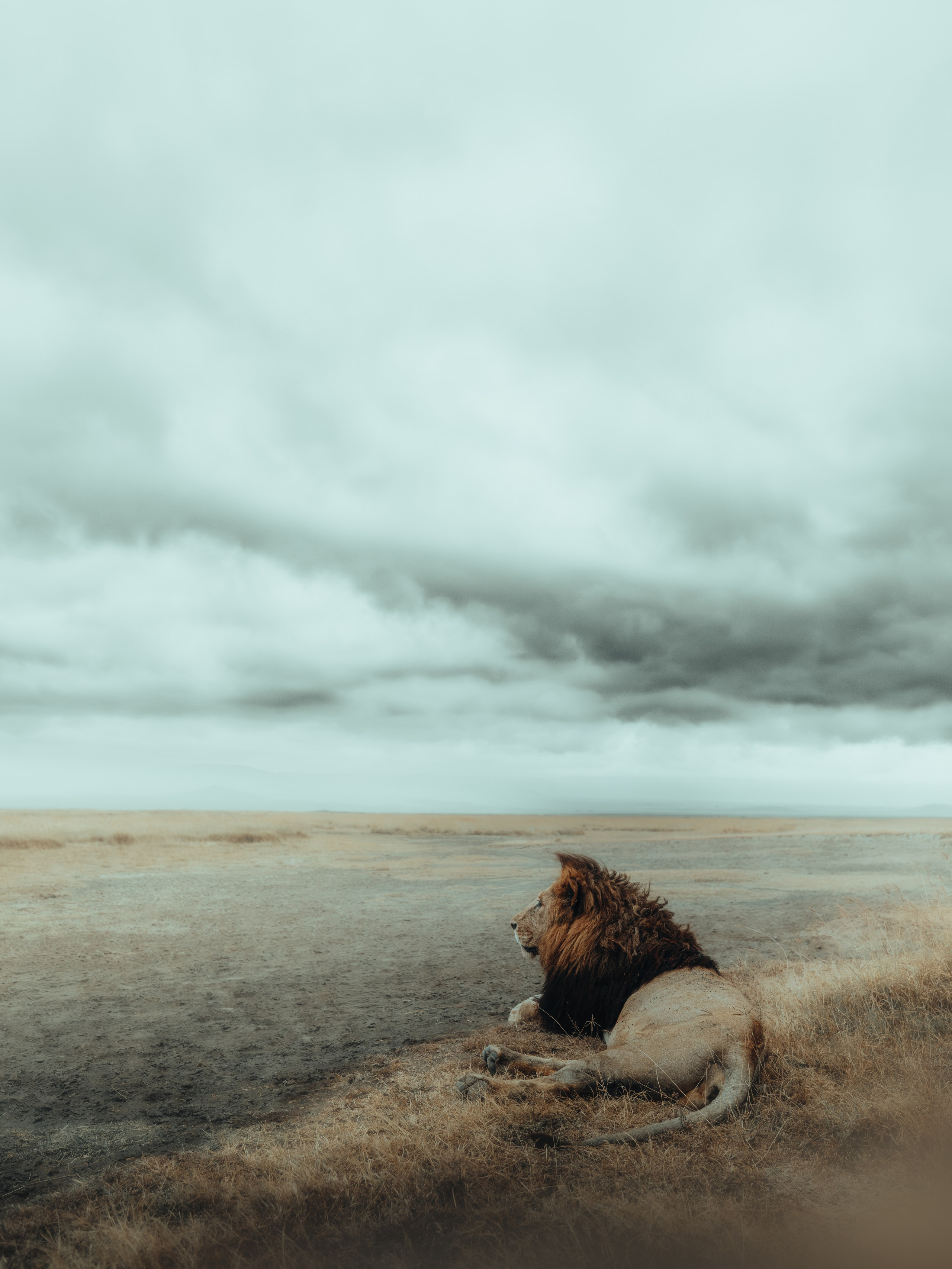Wild Africa. Фотограф Дикой природы, пейзажа и спорта. Pavel Che