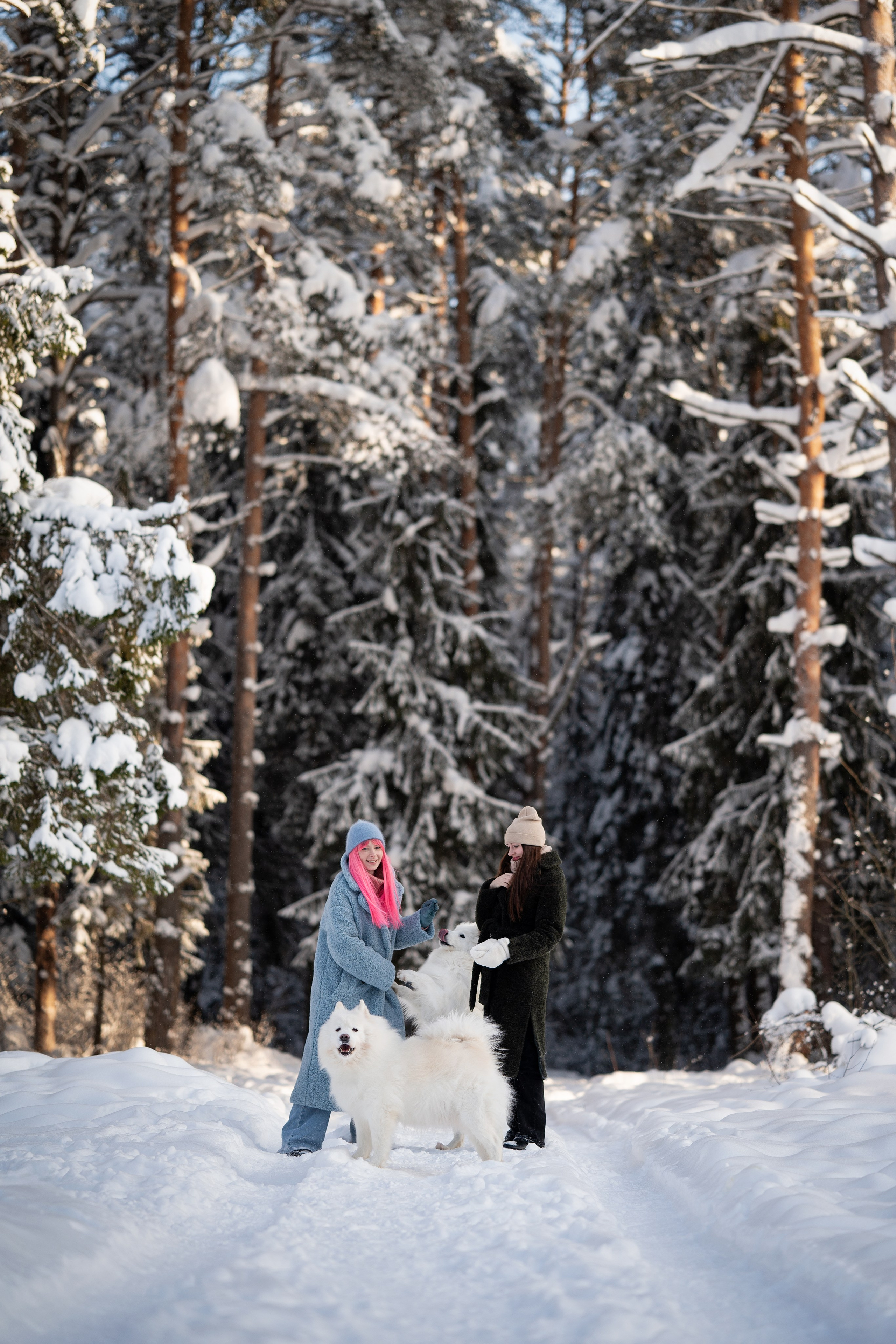 Фотопрогулка в лесу. Творческий фотограф Вологда
