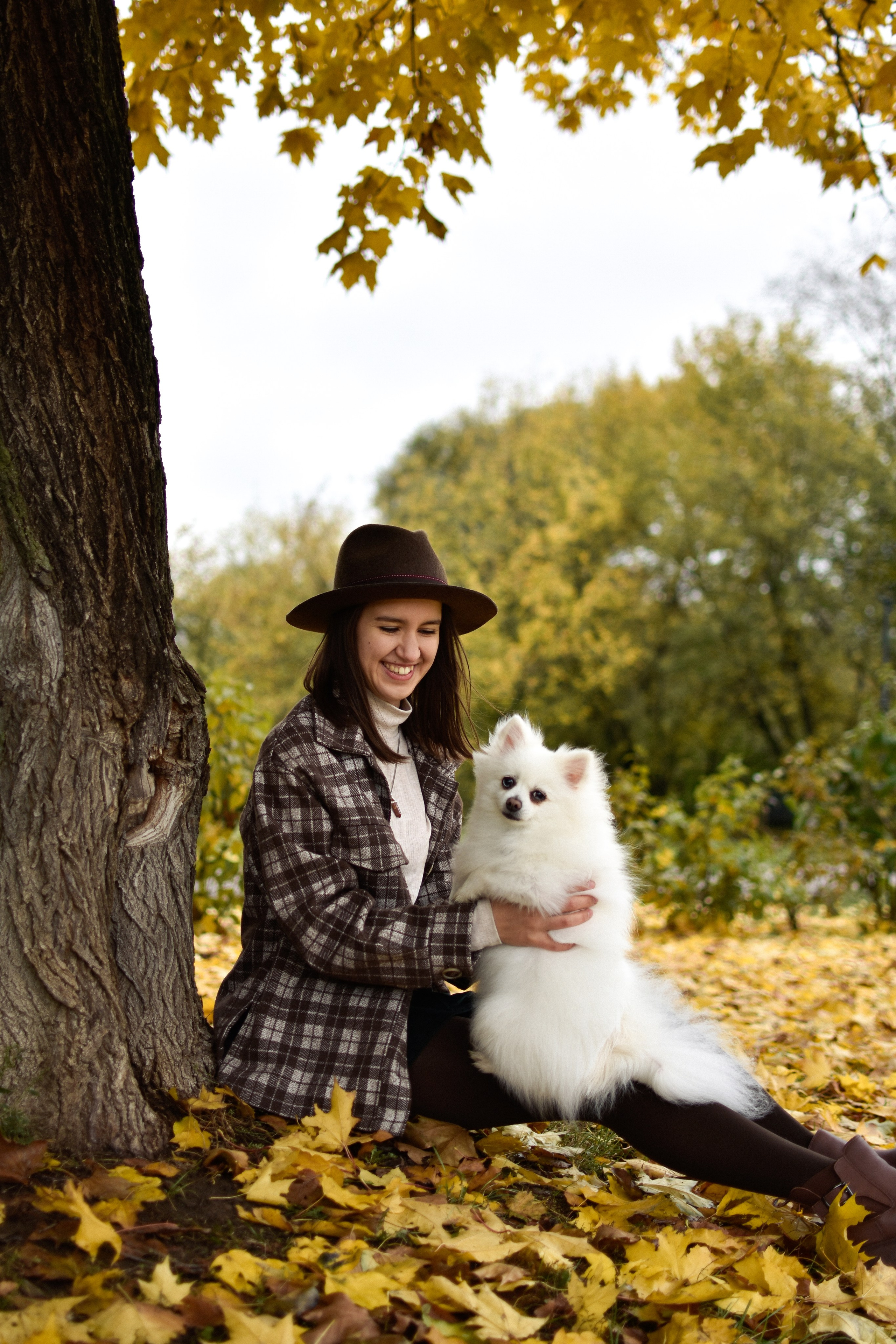 Анабель и Саша. Фотограф-анималист Ксения Шевцова|Москва