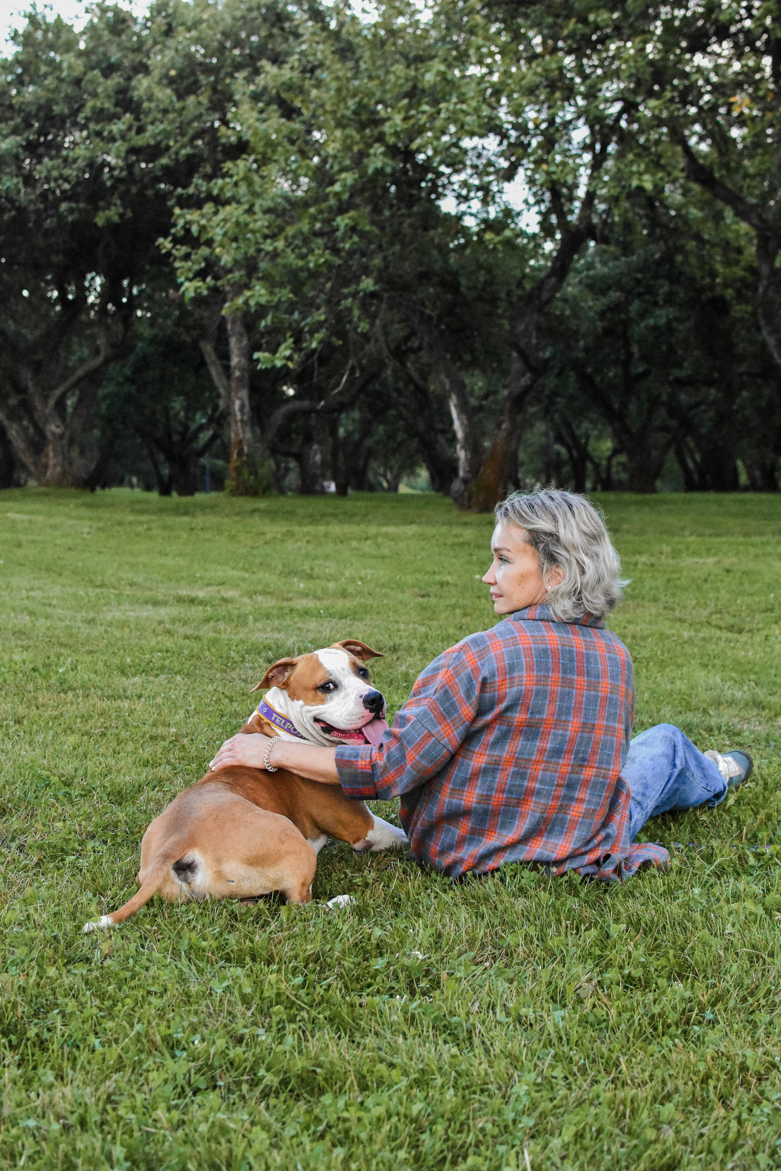 Стив, Стеша и Маша. Фотограф-анималист Ксения Шевцова|Москва