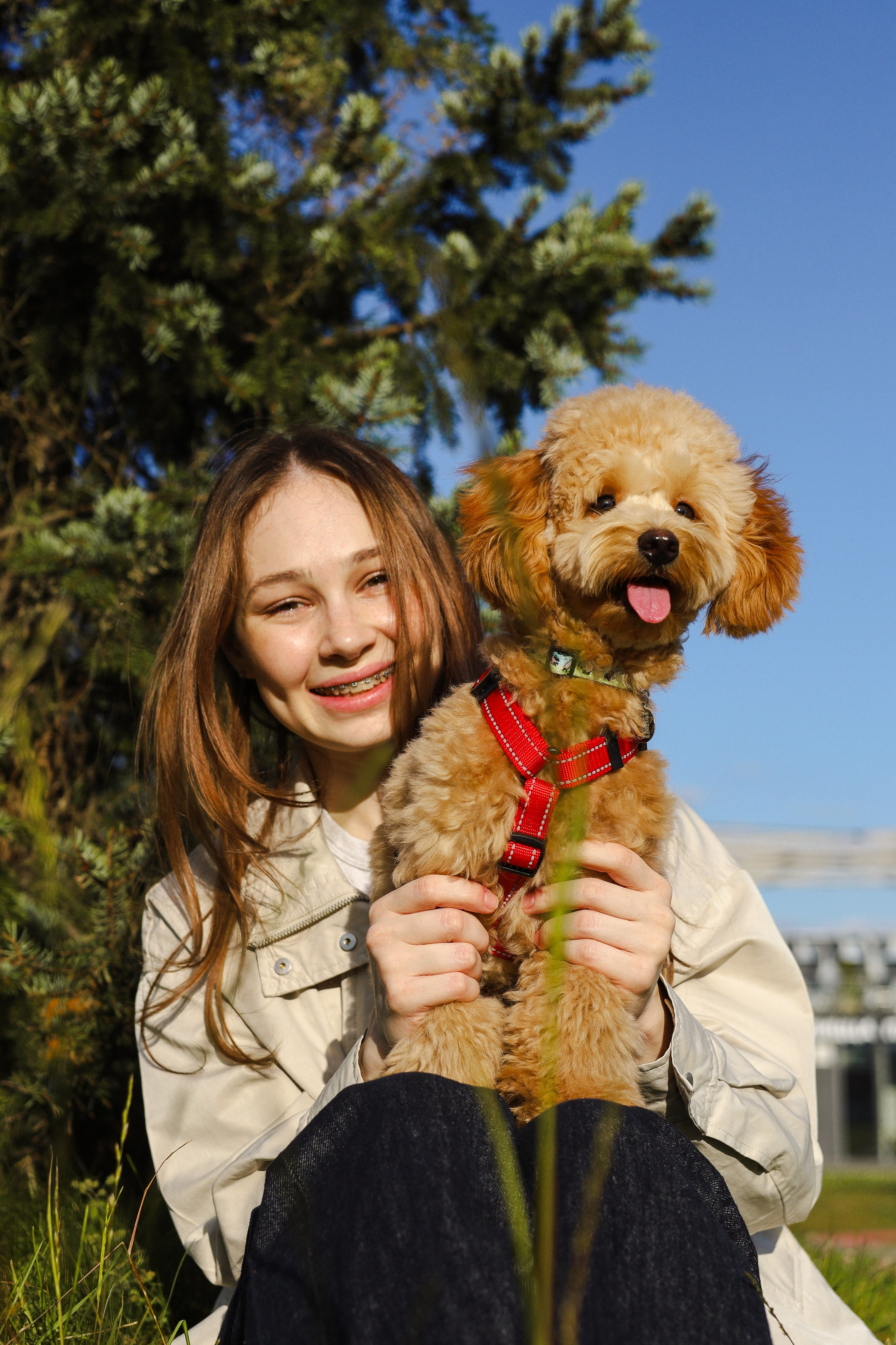 Поршик и Ксения. Фотограф-анималист Ксения Шевцова|Москва