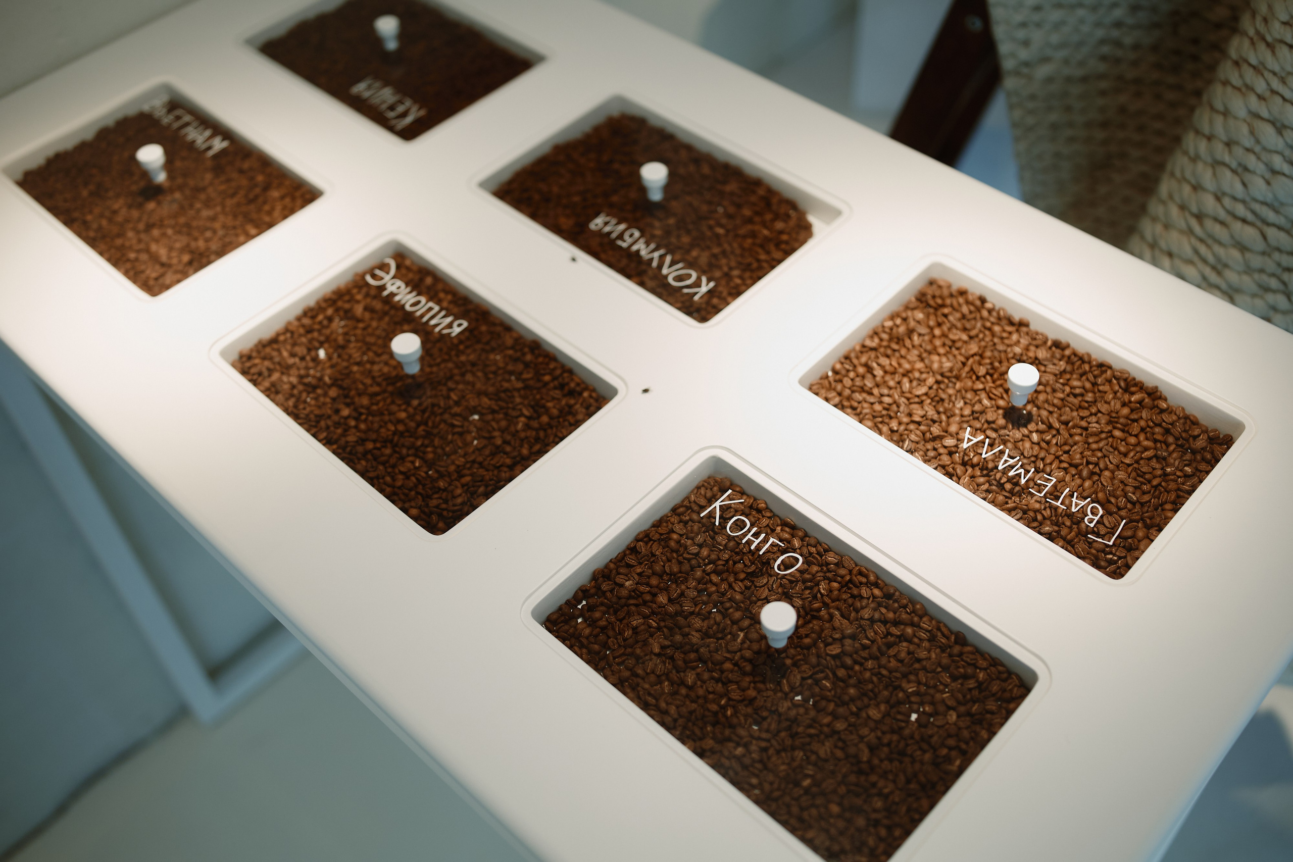 Культура х БОБ. ФОТОГРАФ НА МЕРОПРИЯТИЕ ОТ СОЛЬ МЕДИА PRODUCTION