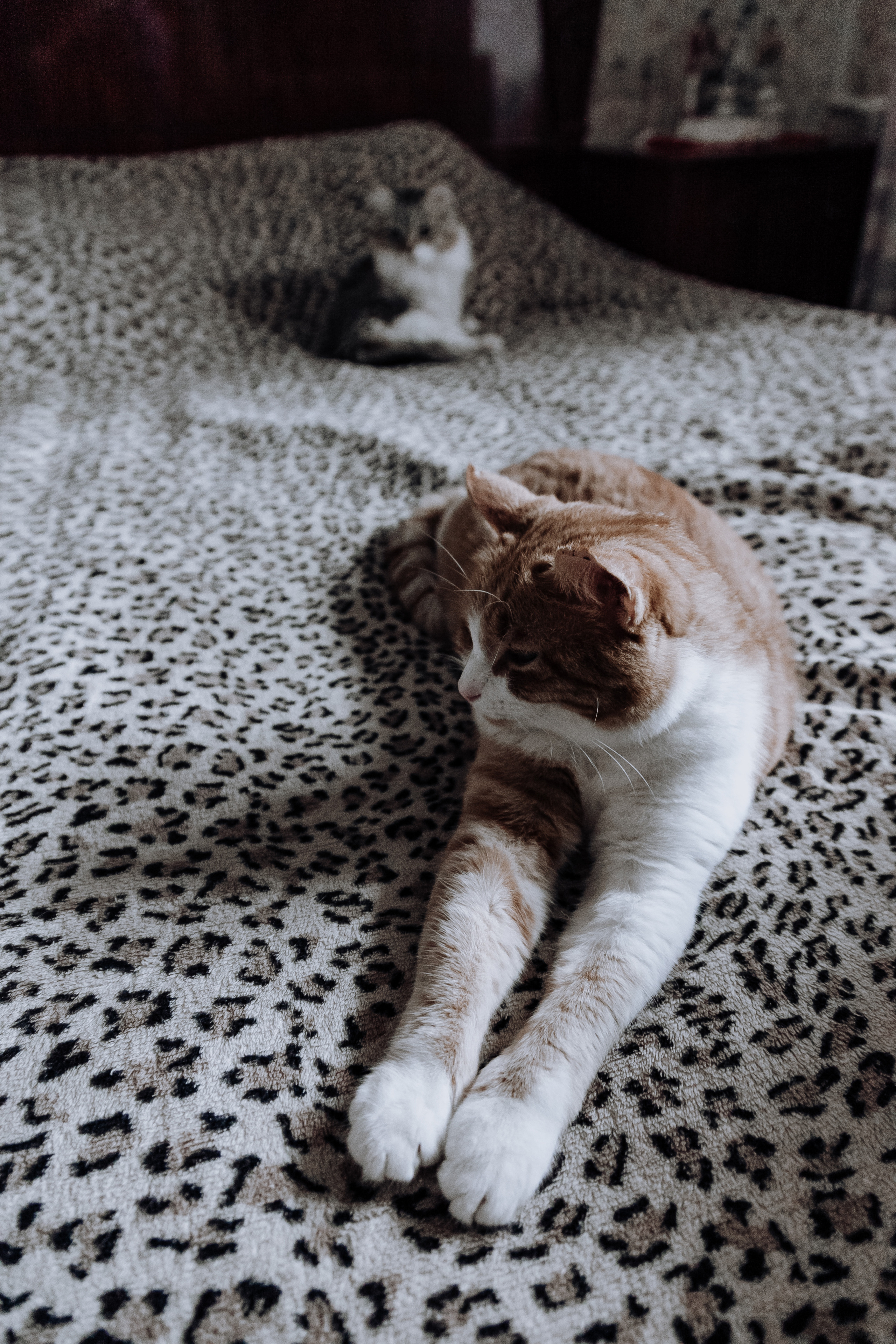 Свадебный фотограф Нижний Новгород. Свадебный и контент фотограф в Нижнем Новгороде Владимир Пресняков