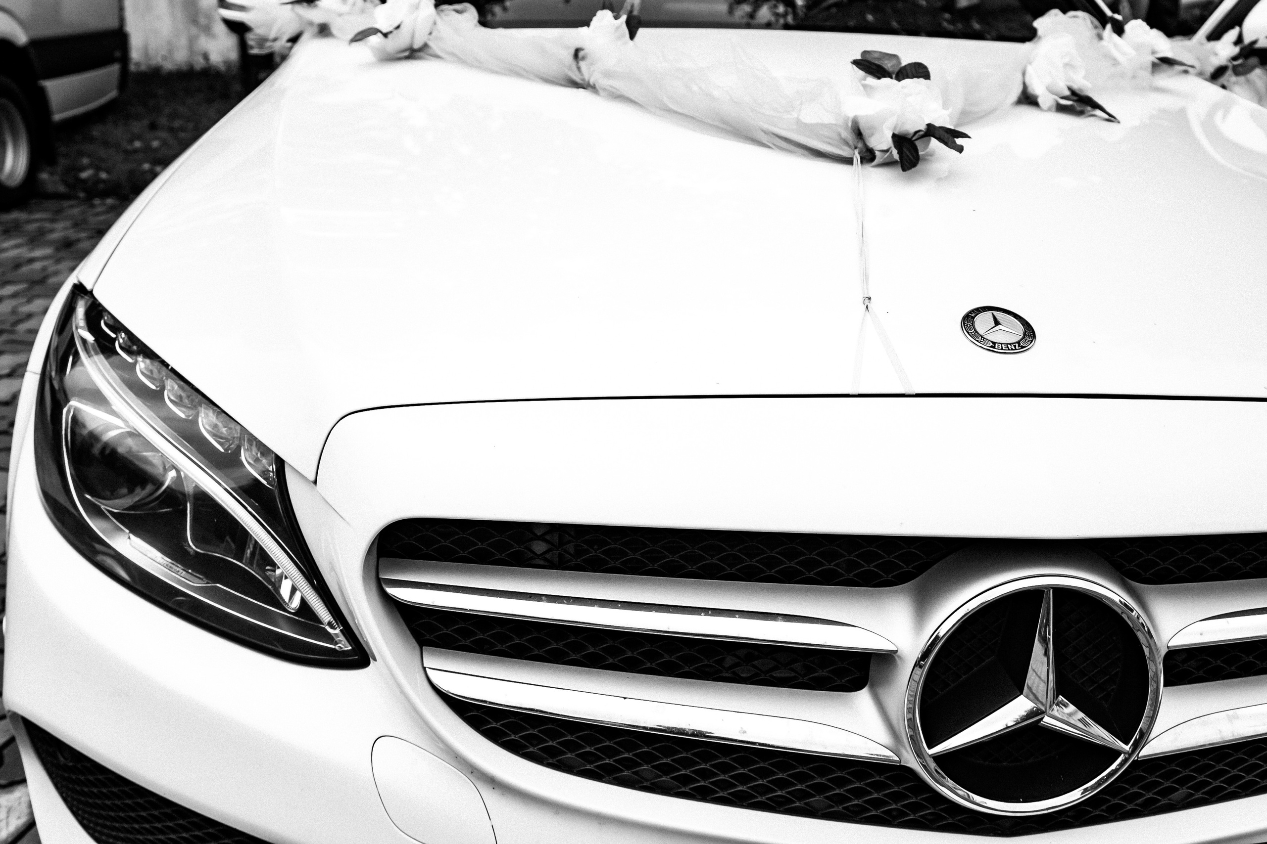 Свадебный фотограф Нижний Новгород. Свадебный и контент фотограф в Нижнем Новгороде Владимир Пресняков