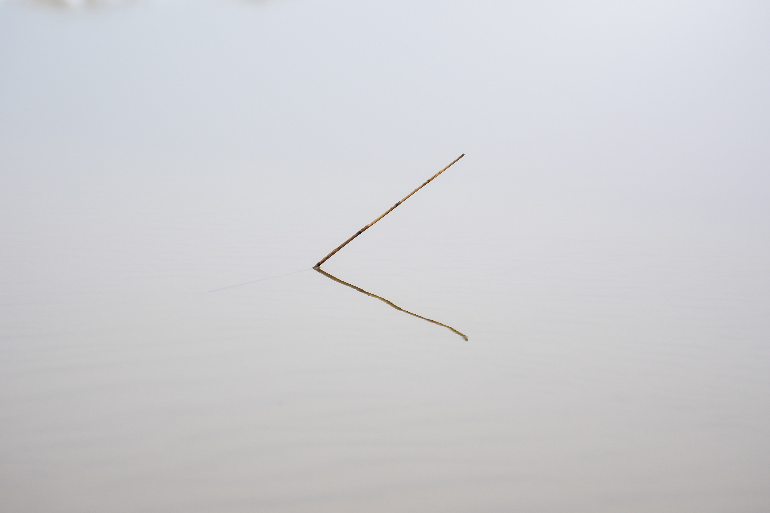 Arseniy Karchevskiy I Photographer