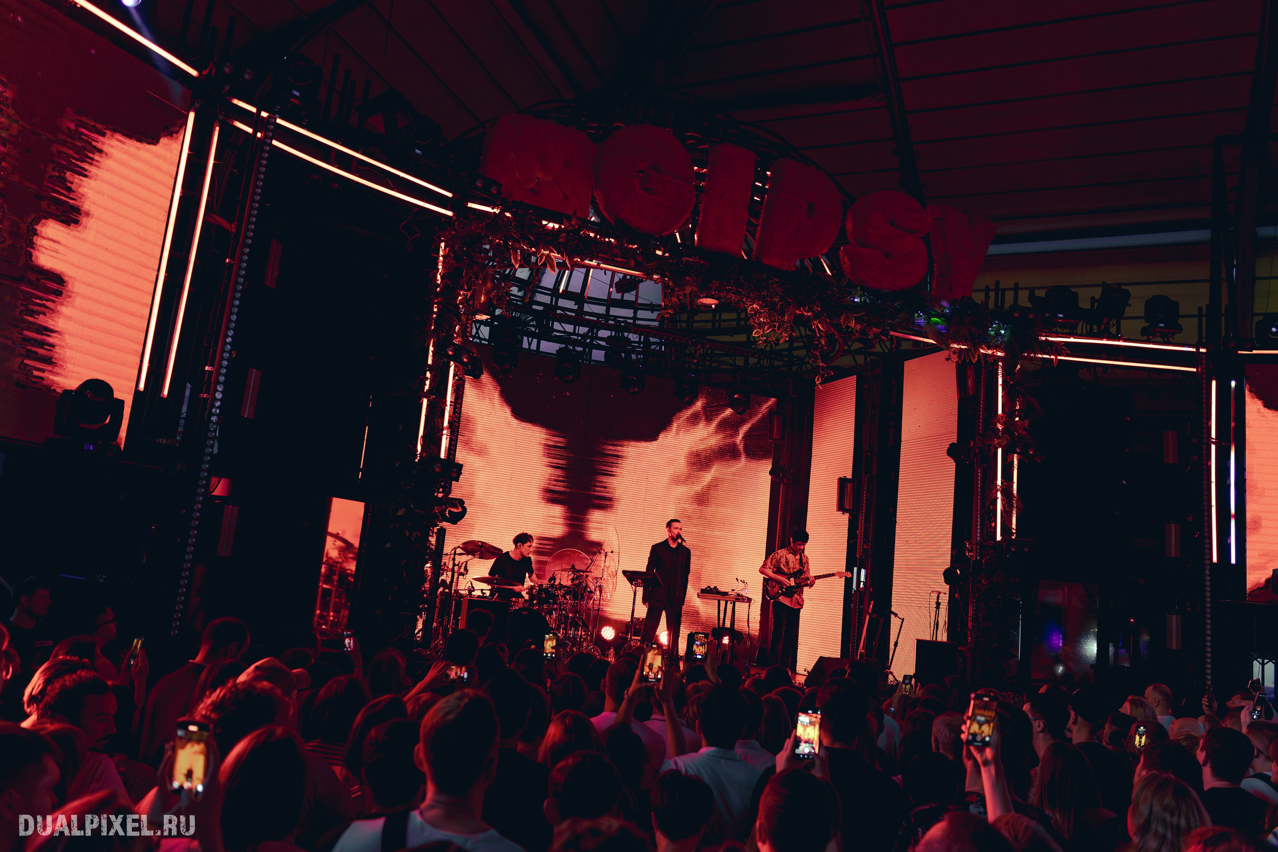 Дельфин. Магия музыки в кадре: Концертная Фотография