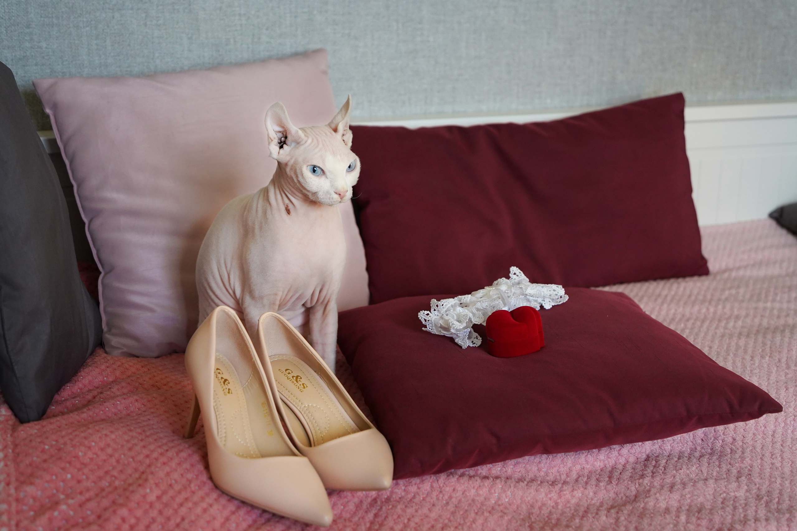 Ира и Ян. День свадьбы. Репортажный и интерьерный фотограф Александра Солдатова