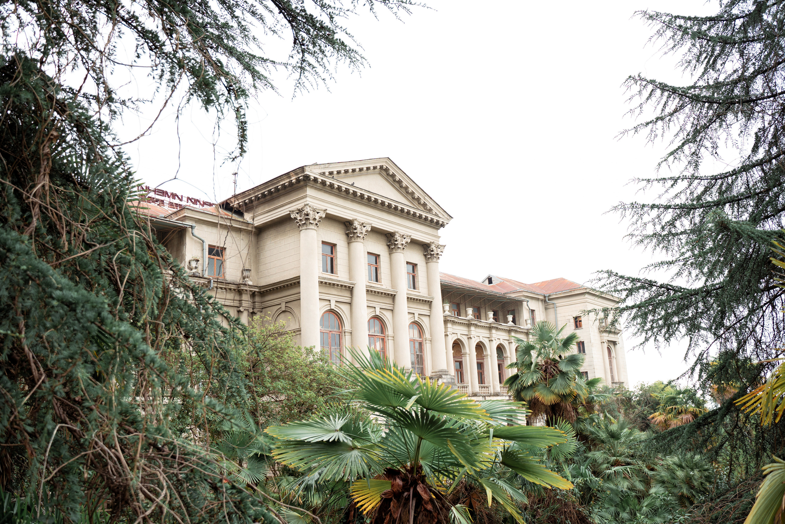 Свадебная прогулка Сочи. Фотограф на выпускной альбом школа сад димитровград