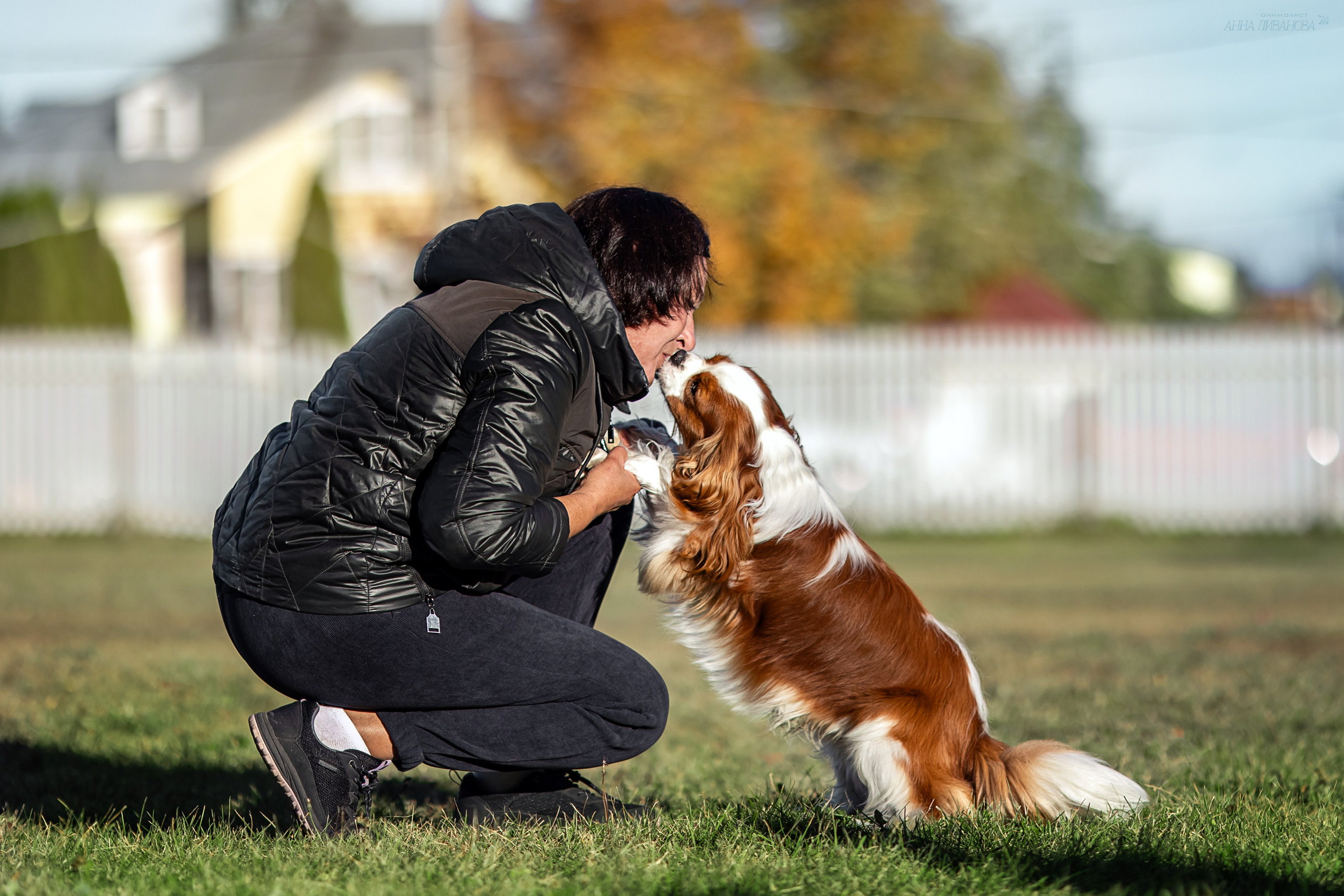 Кавалеры. Фотограф анималист Аня Ливанова | Рыбинск