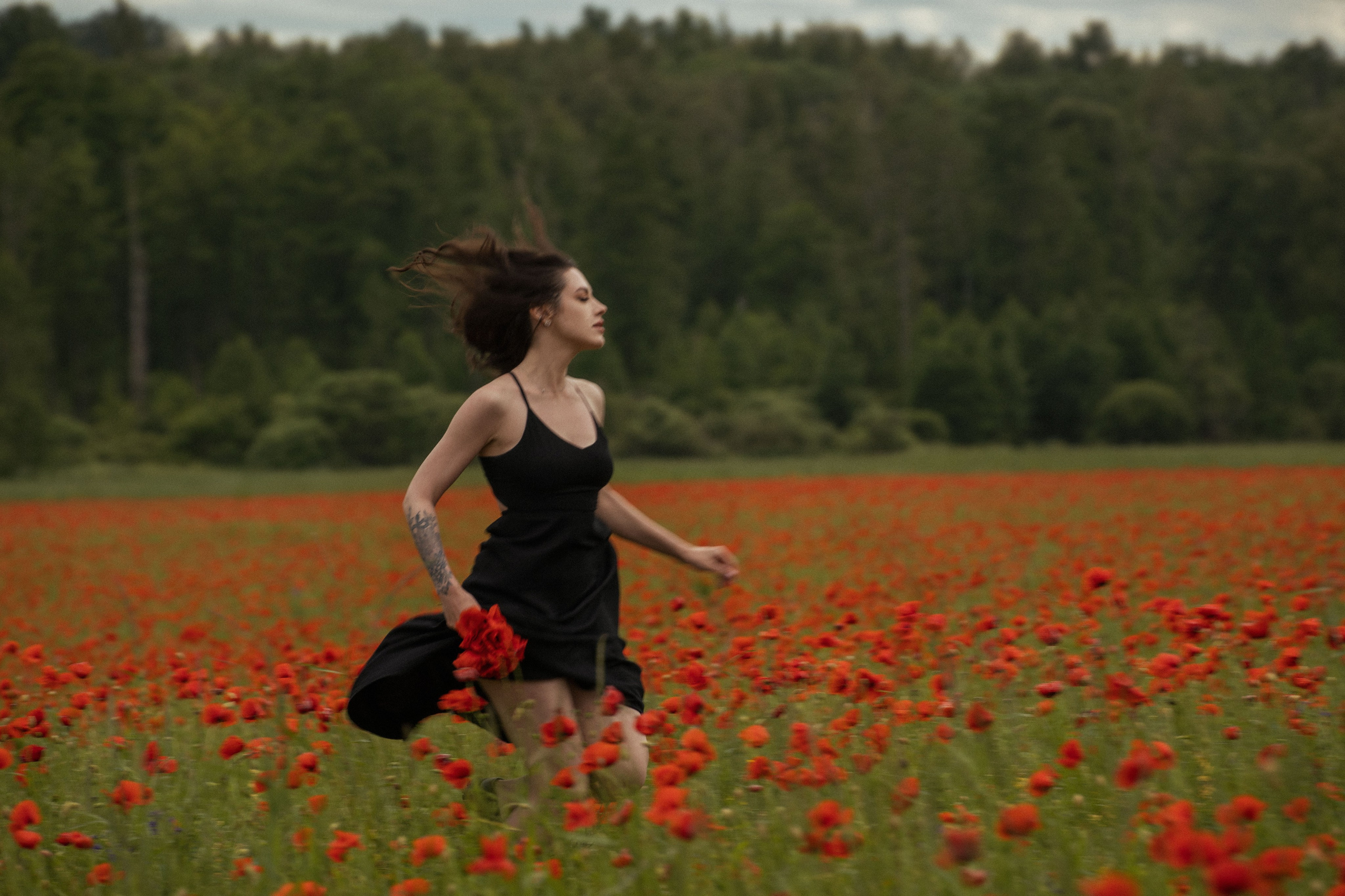 Маковое поле. Фотохудожник из города Пскова