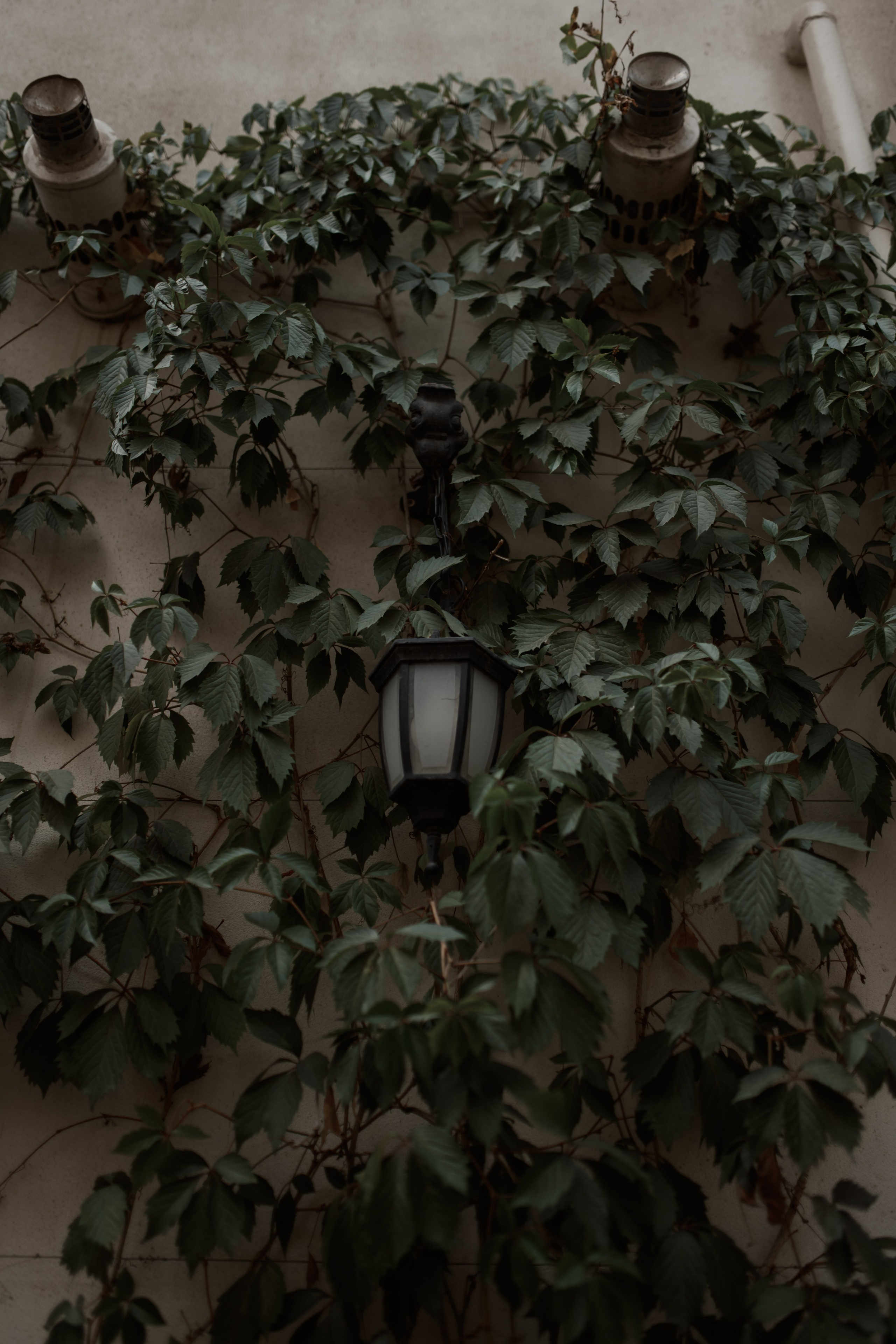 V & K. Свадебный фотограф в г. Астрахань. Так же выезжаю в другие города