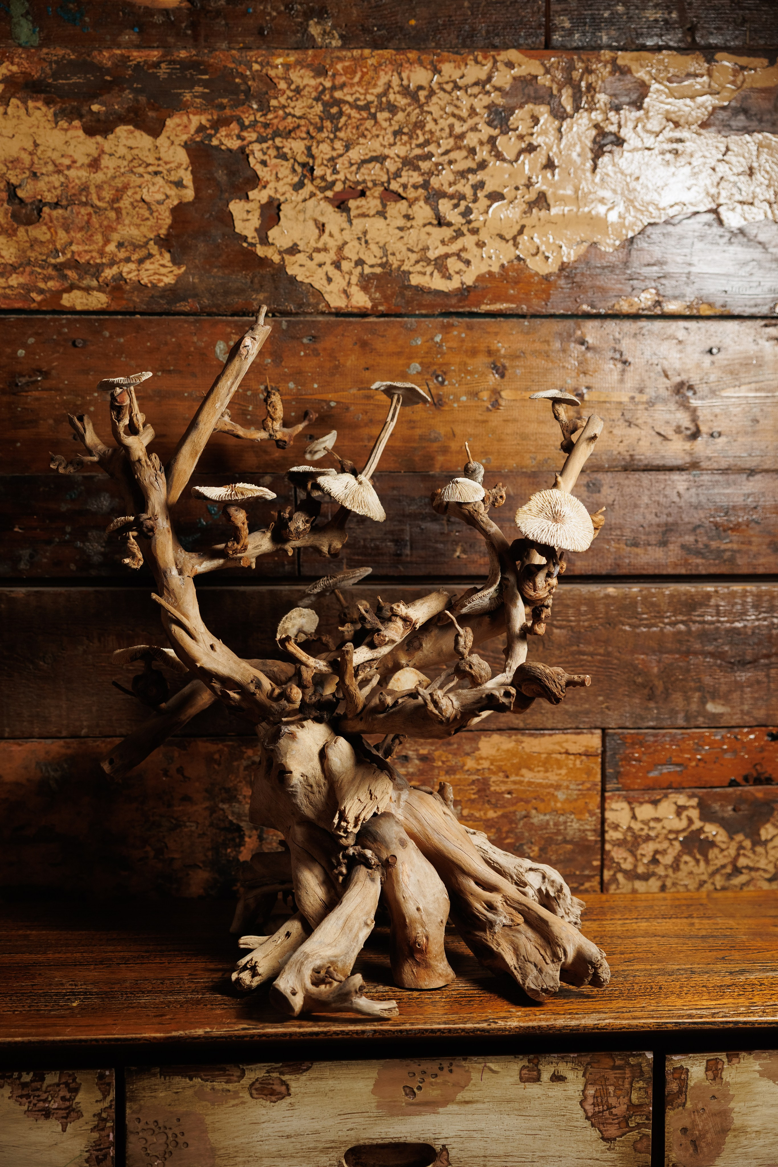 Корпоратив в стиле HALLOWEEN. Репортажный фотограф Ольга Кочетова в Москве