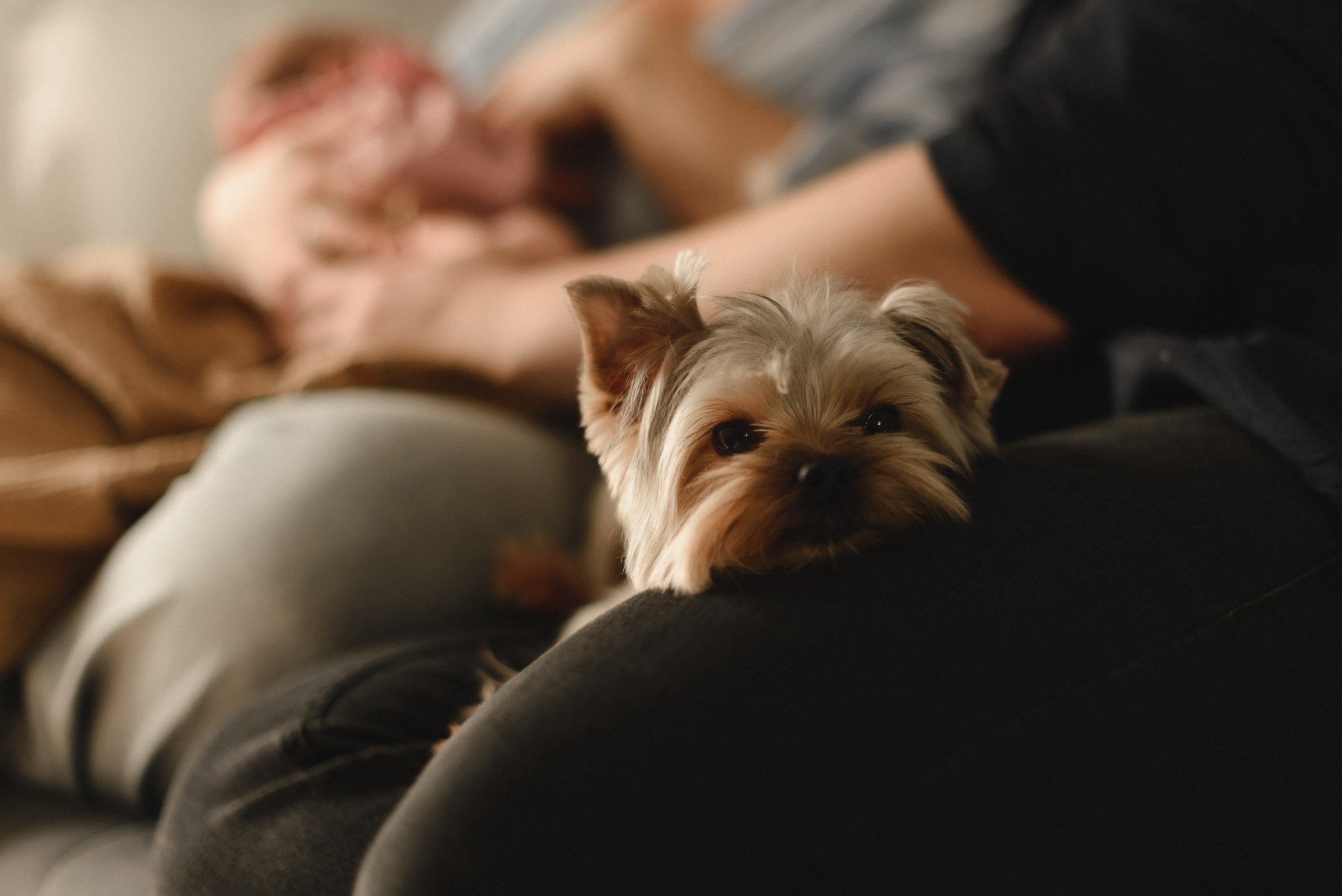Первый месяц малышки Василисы. Семейный фотограф в г. Ставрополь, Сорокина Мария