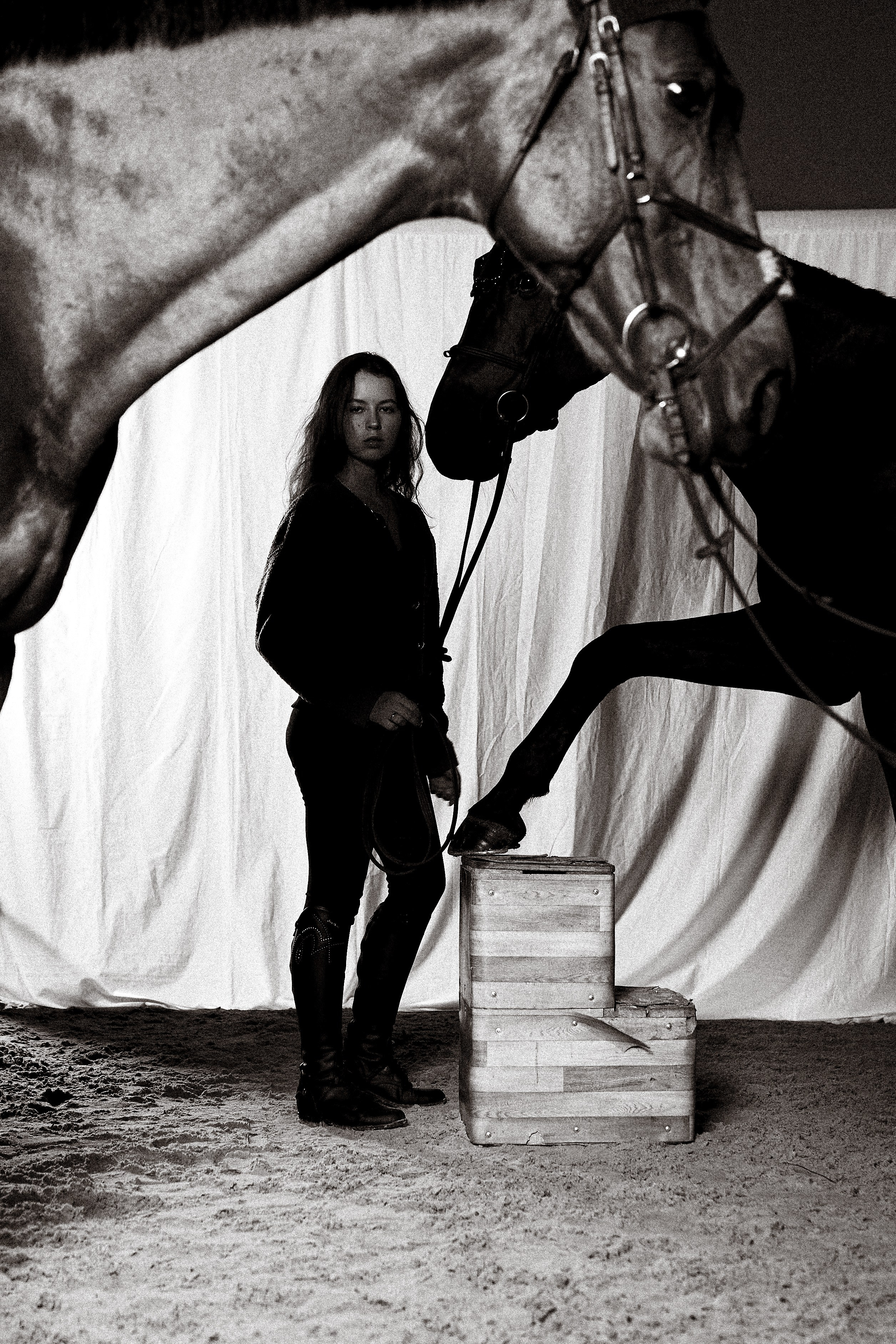 Женский портрет. Фотосессии с лошадьми в Москве, Новосибирске