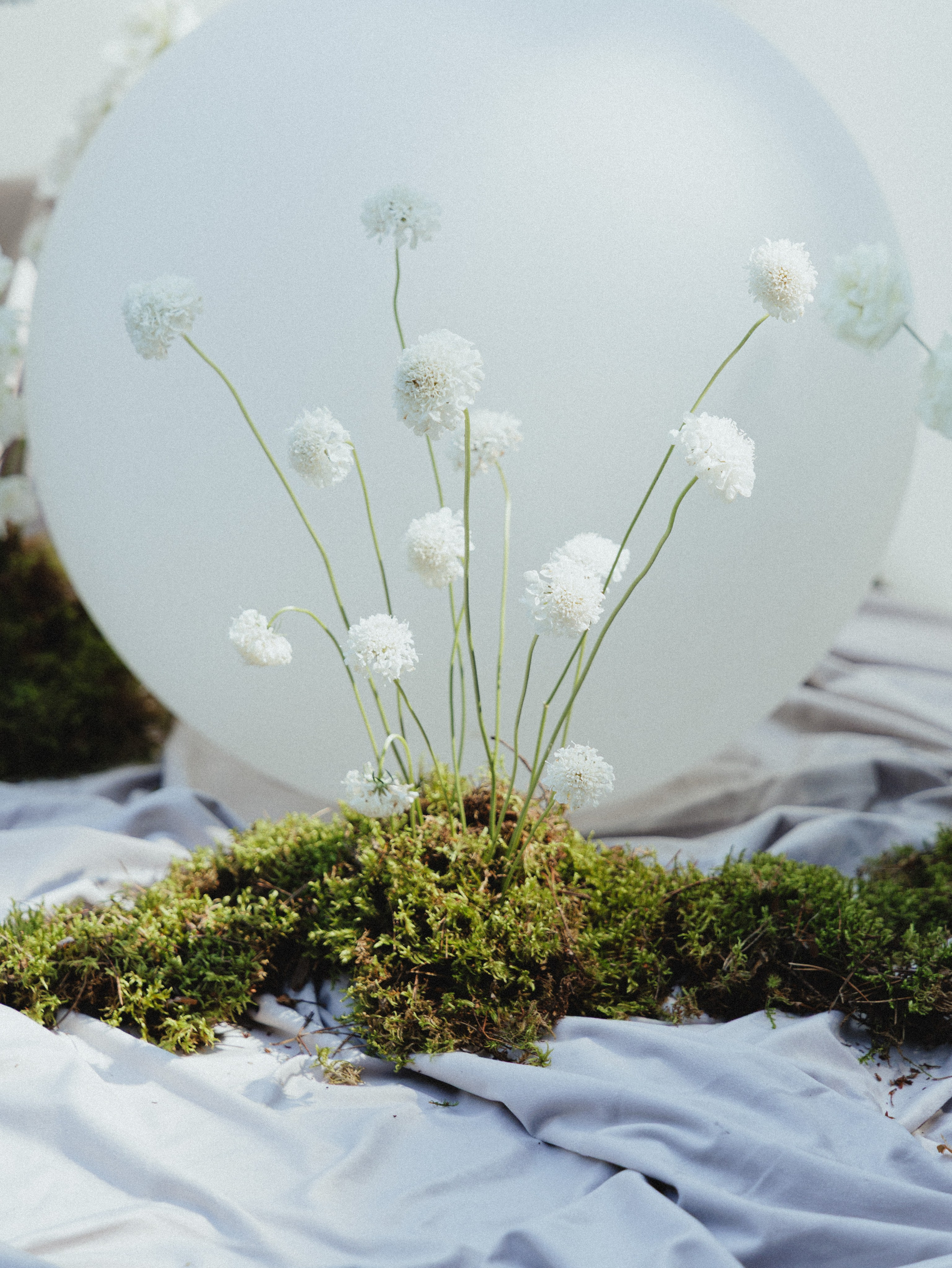 То, что дорого сердцу. Свадебный фотограф Москва Ирина Писарева