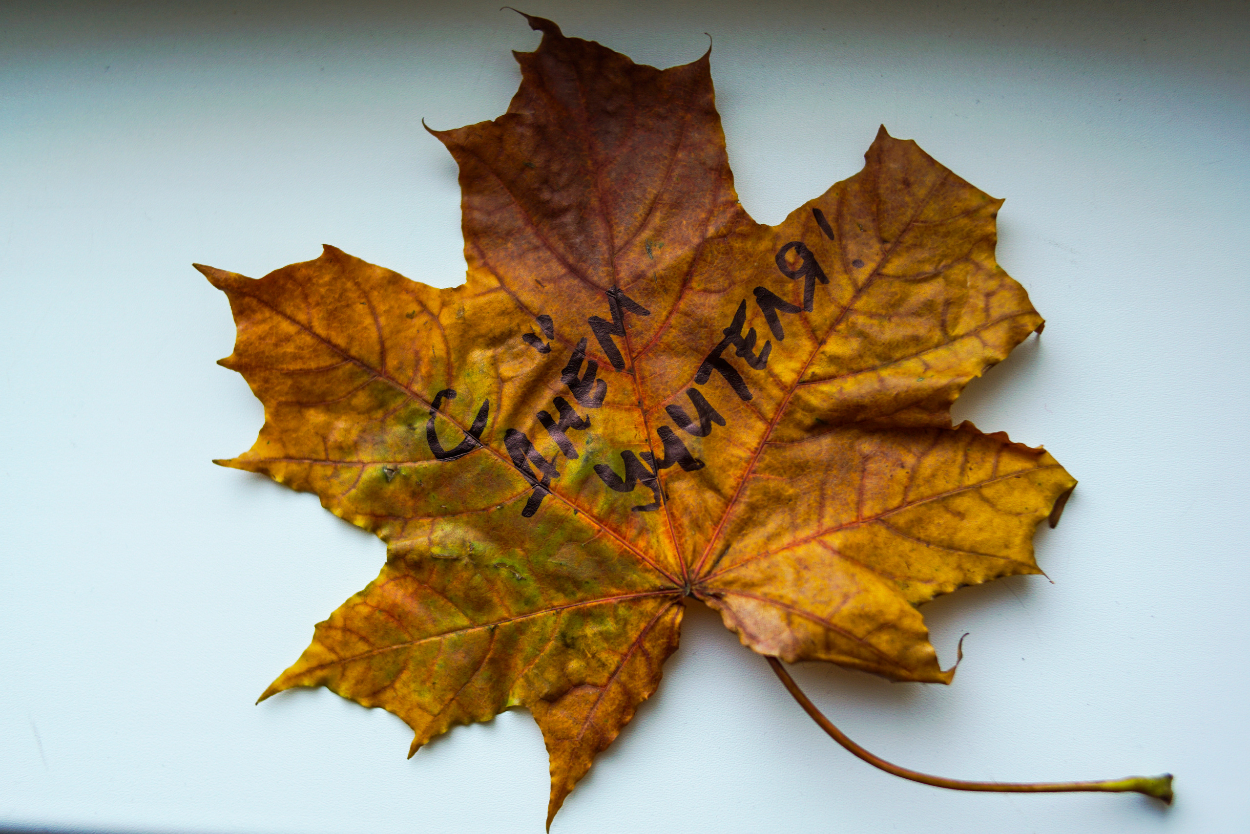 Страницы школьной жизни. Портретный, репортажный и свадебный фотограф в Екатеринбурге Денис Южаков