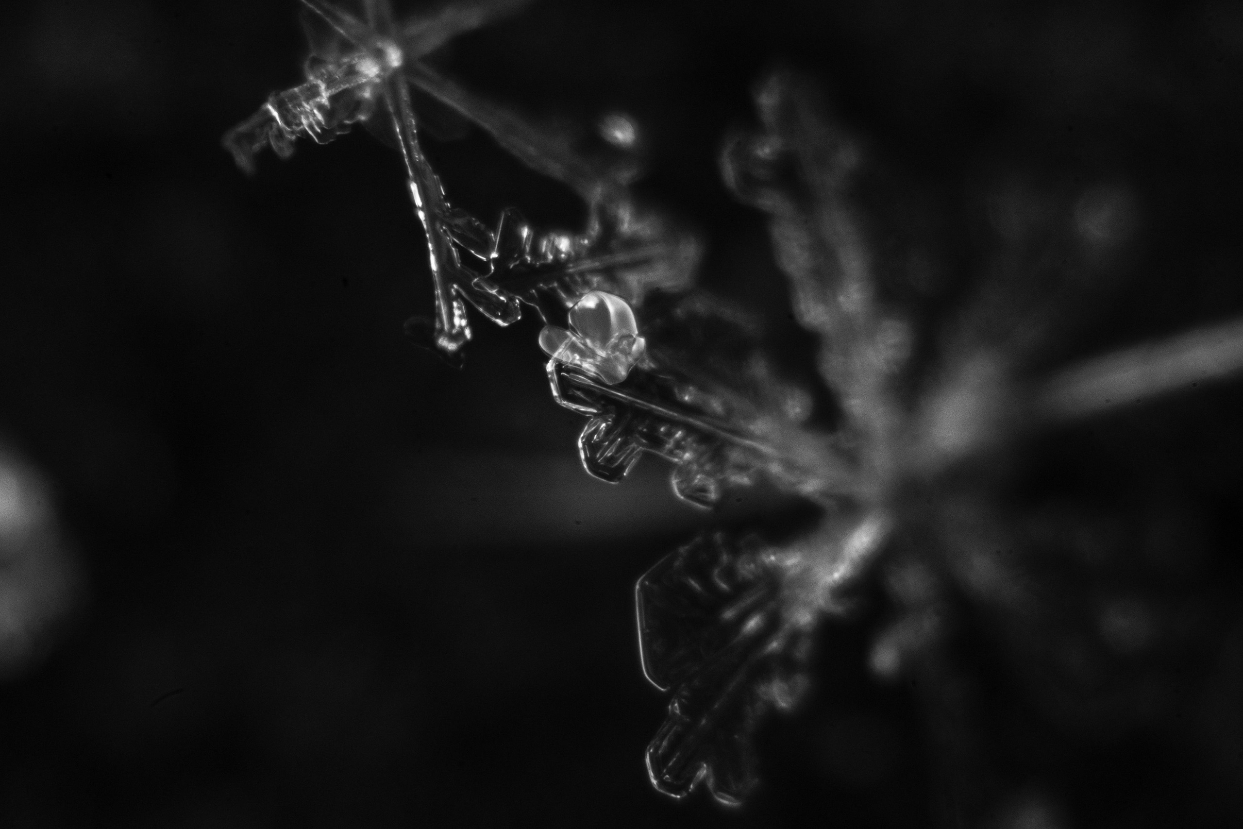 Природа и пейзажи. Портретный, репортажный и свадебный фотограф в Екатеринбурге Денис Южаков