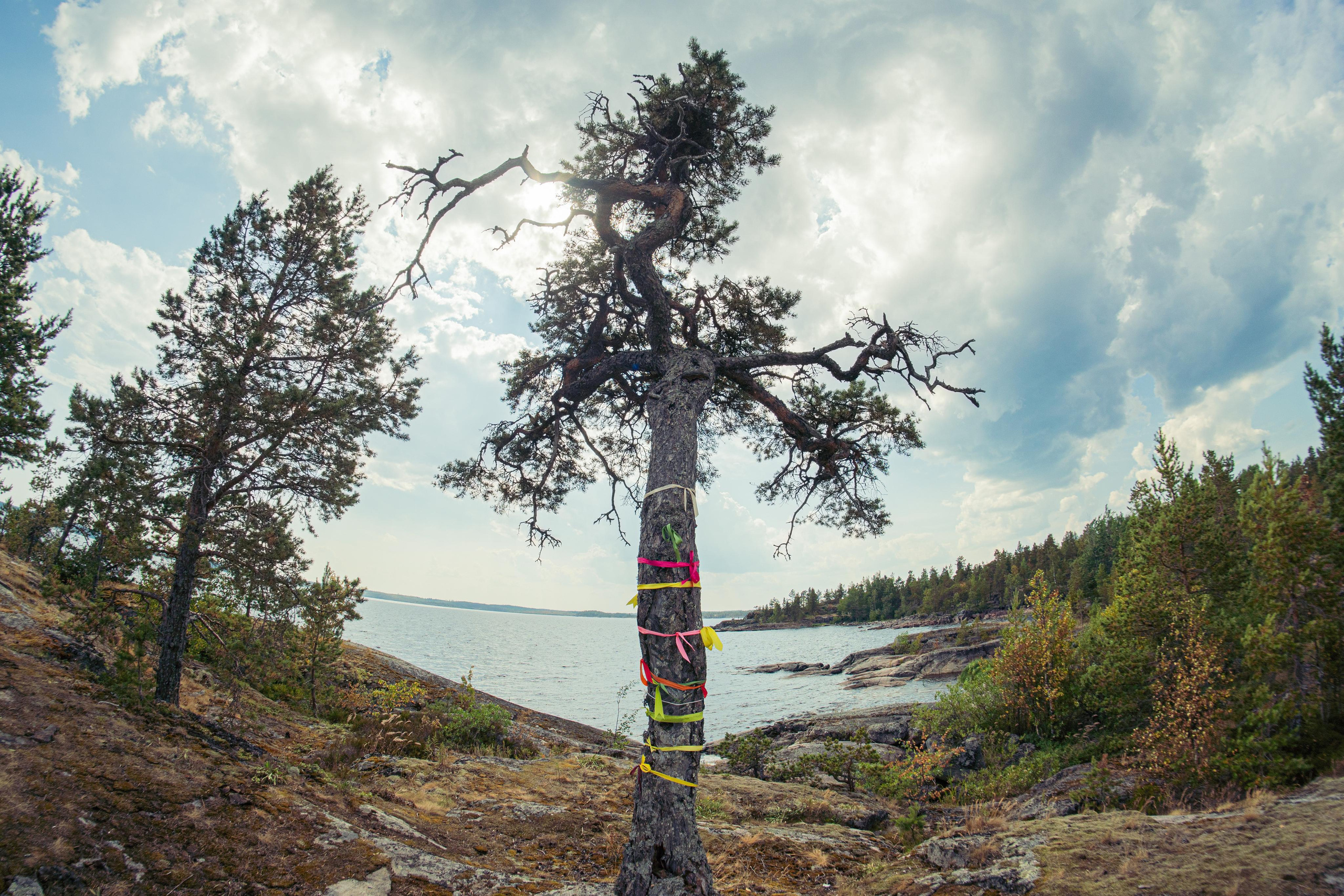 Природа и пейзажи. Портретный, репортажный и свадебный фотограф в Екатеринбурге Денис Южаков