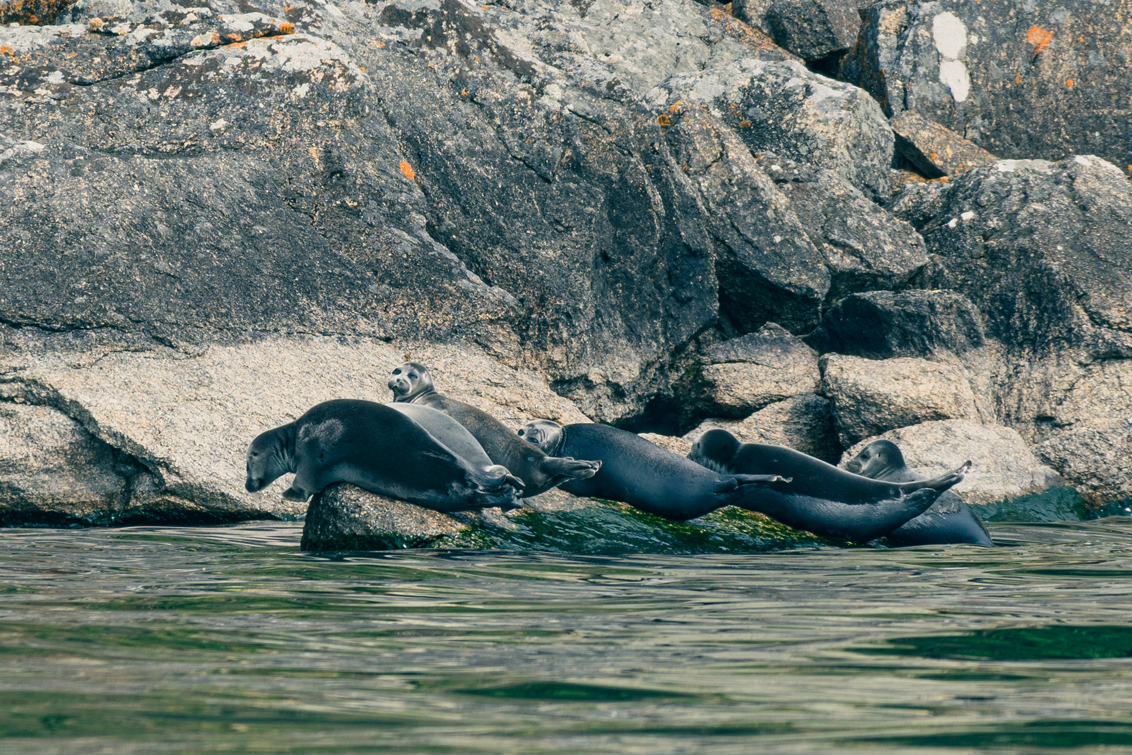 Природа и пейзажи. Портретный, репортажный и свадебный фотограф в Екатеринбурге Денис Южаков