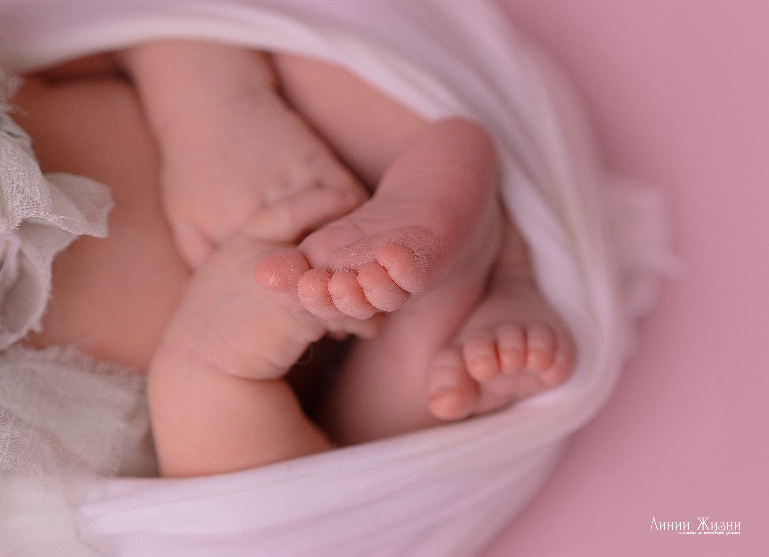 Верочка 23 дня. Фотограф новорожденных в Нижнем Новгороде Сергеева Оксана