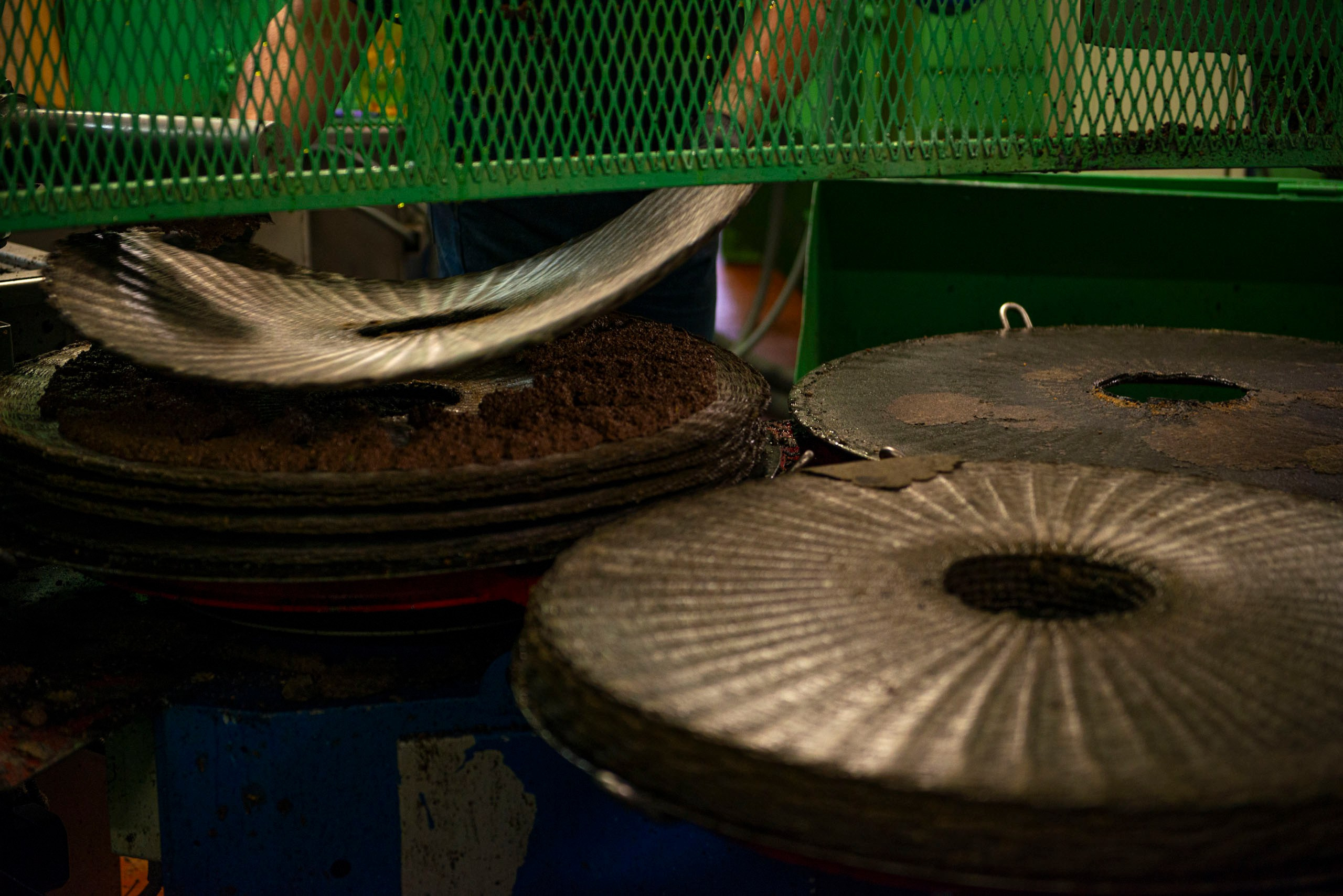 Капля Тосканы — фотопроект о маслобойне Frantoio Tistarelli и семье, создающей оливковое масло