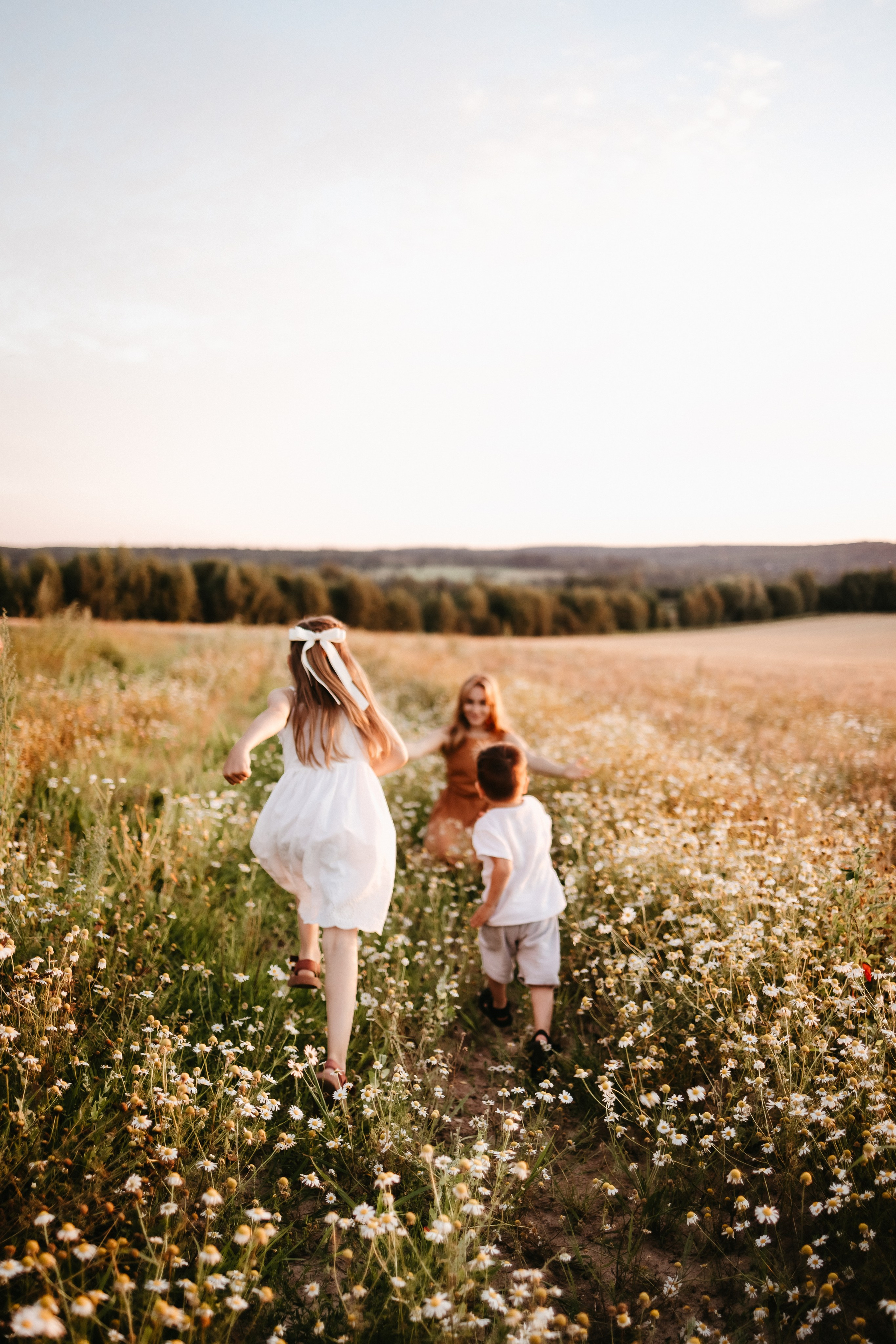 Летний вечер. Евгения Пелипас