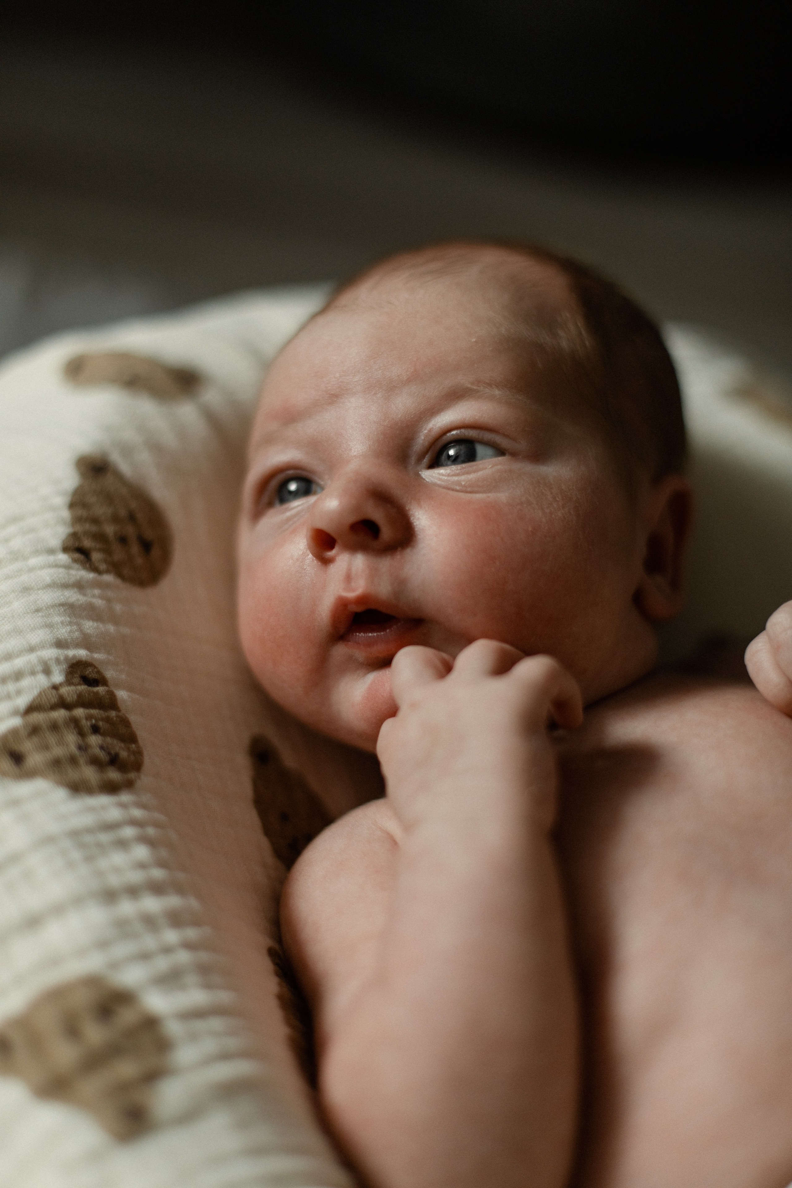 Маленький Евгений. Семейный фотограф Челябинск