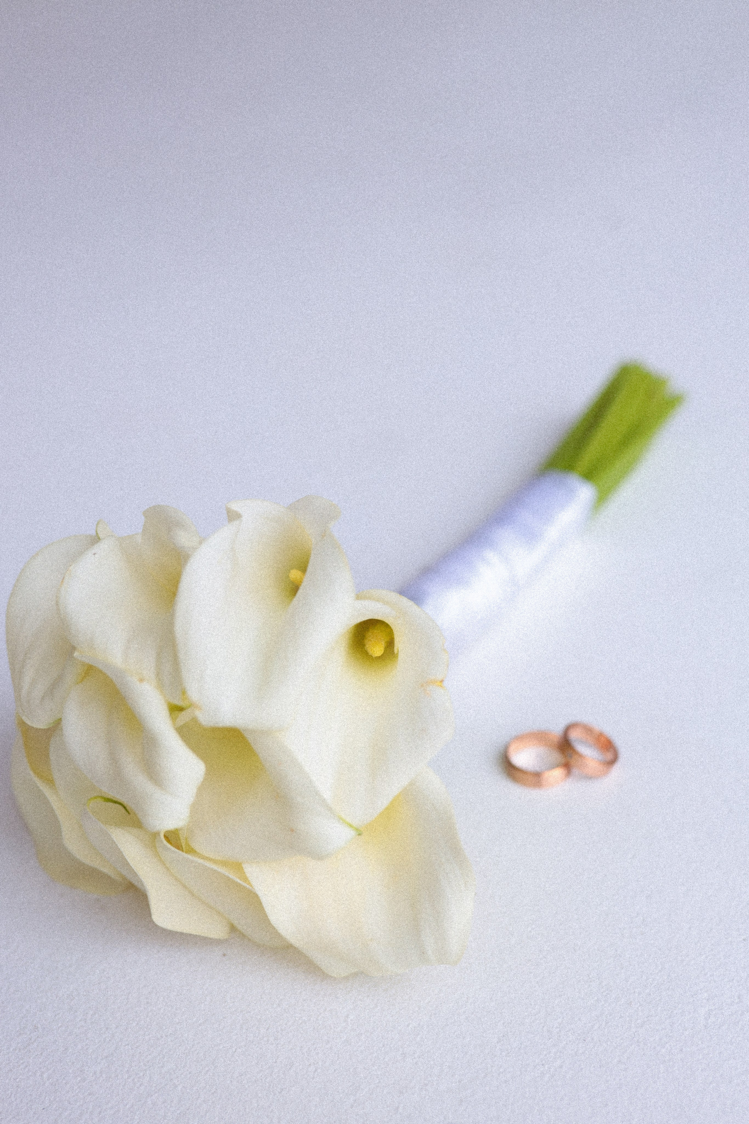 Алина и Ярослав. Фотограф в Оренбурге Майя Шатрова