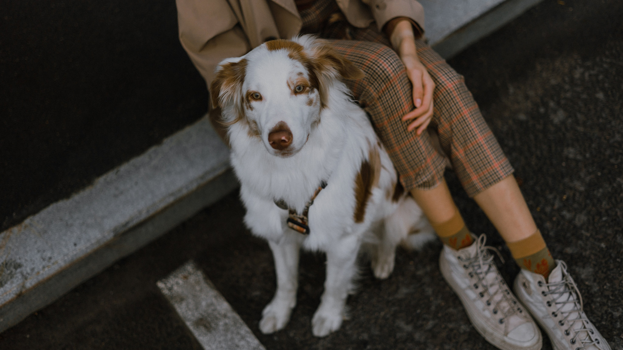 Светлана и Оливия. Фотограф-анималист Богданова Полина