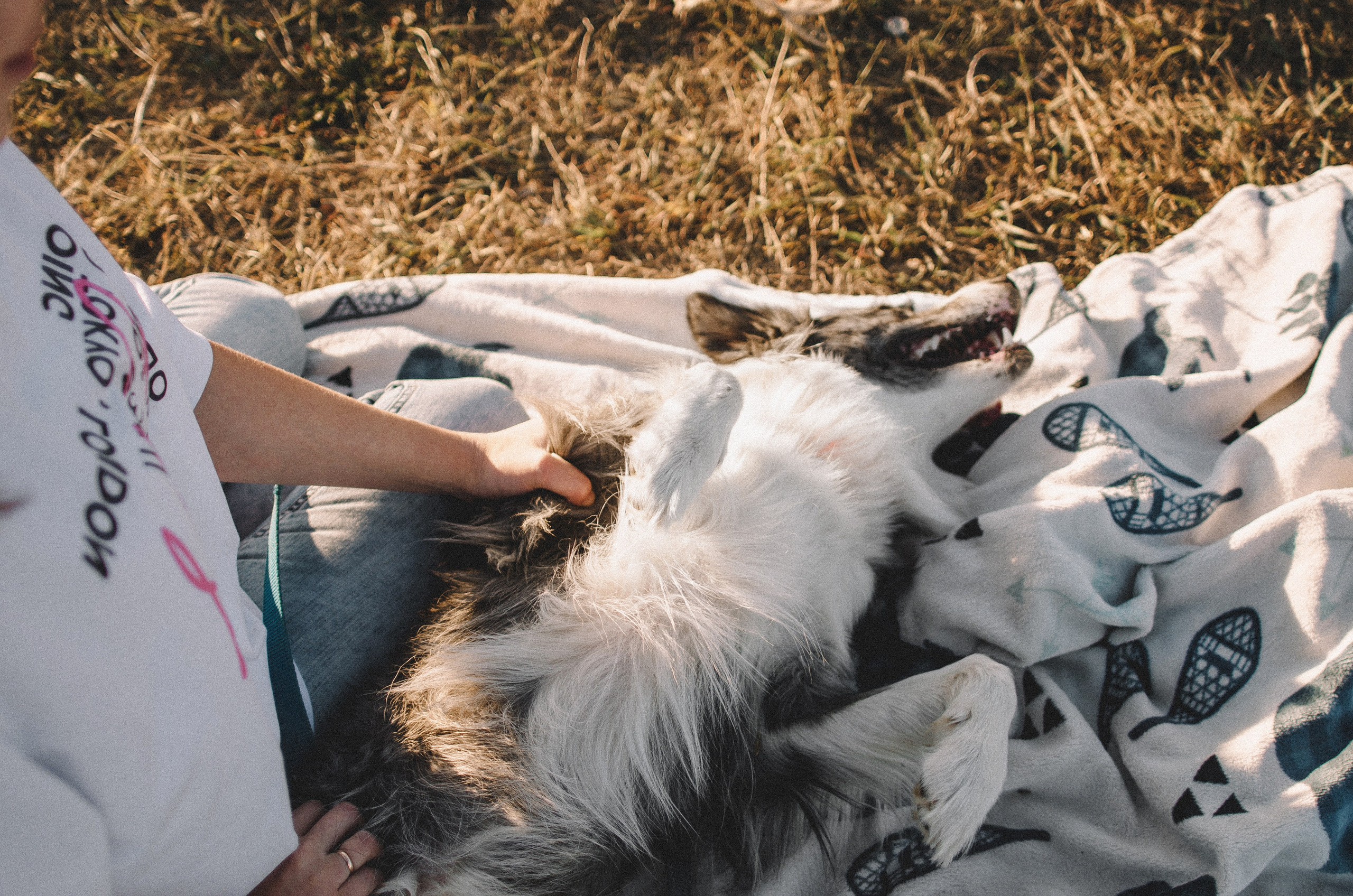 Таня и Бриллиант. Фотограф-анималист Богданова Полина