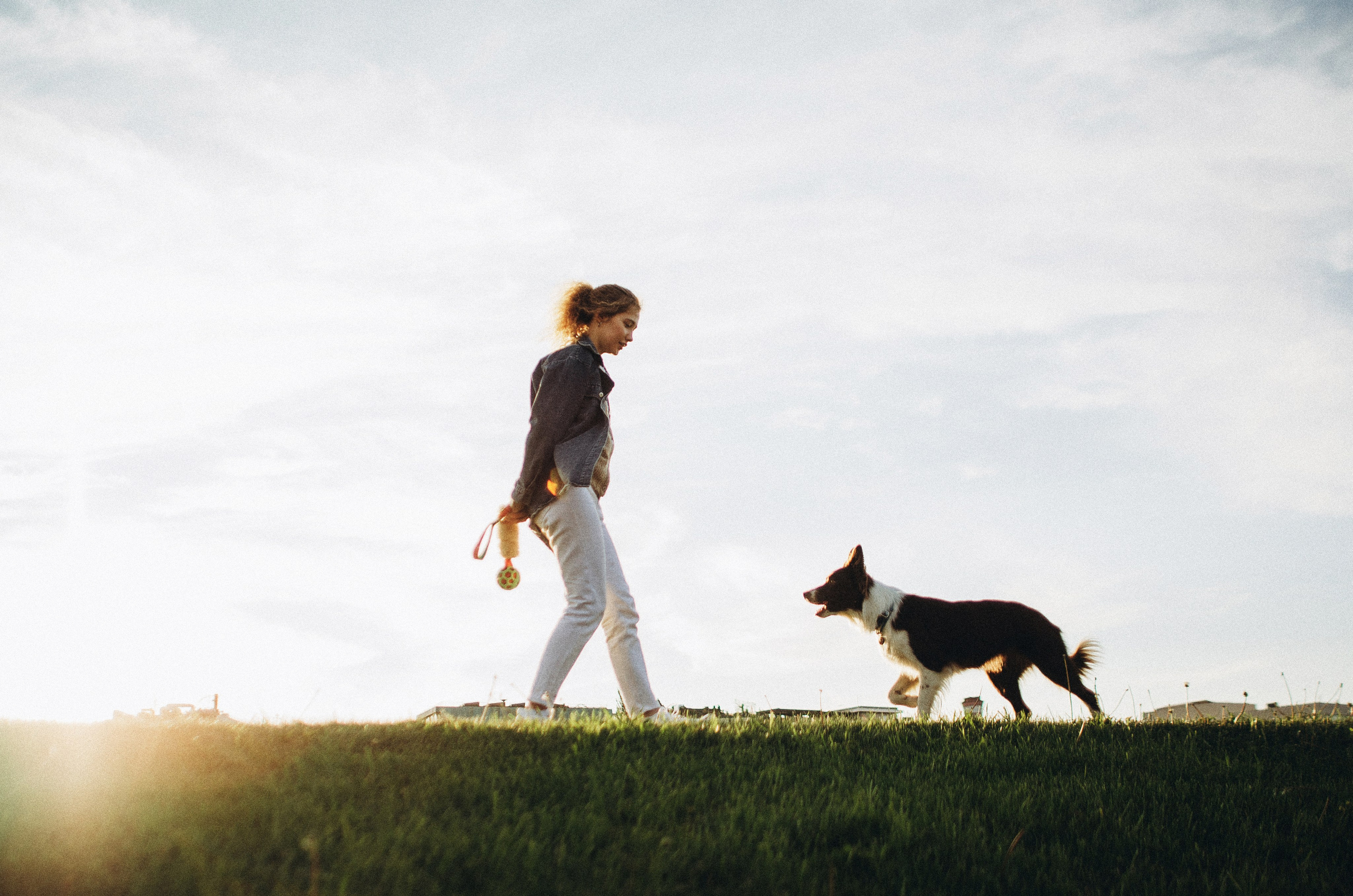 Лиза и Эни. Фотограф-анималист Богданова Полина
