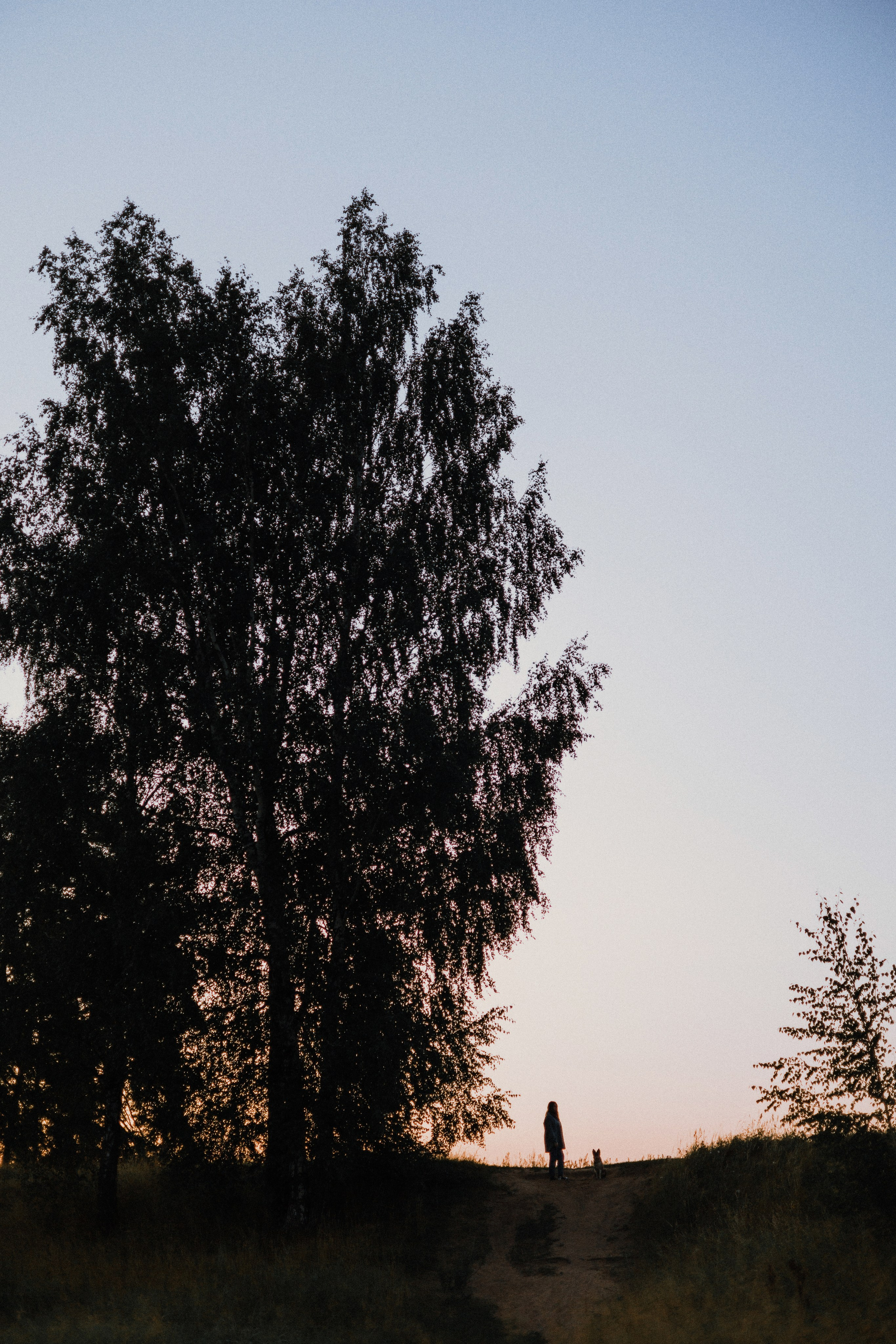 Полина и Паддингтон. Фотограф-анималист Богданова Полина