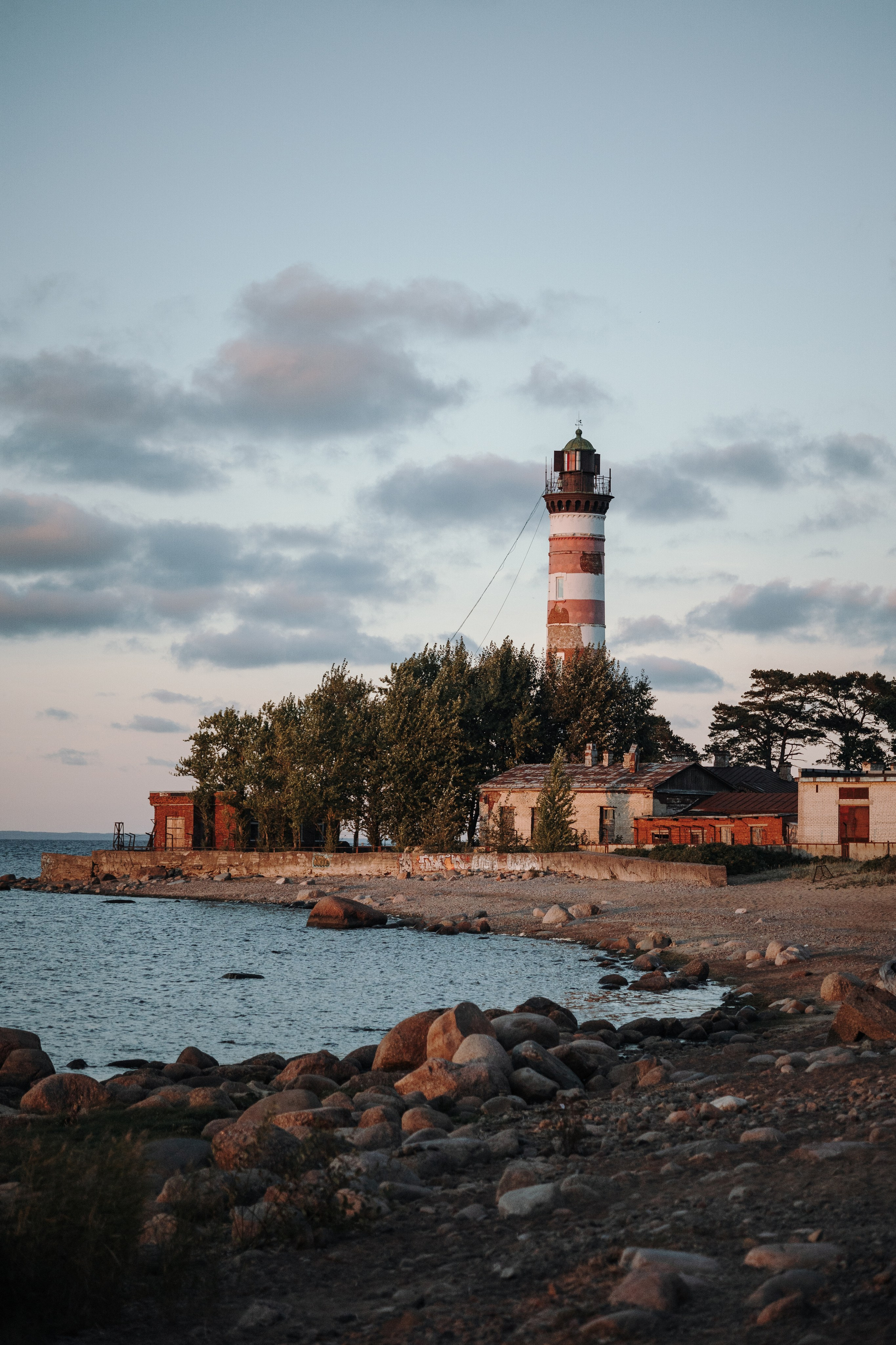 Верон, Гарри и их семья. Фотограф — Анималист | Санкт-Петербург