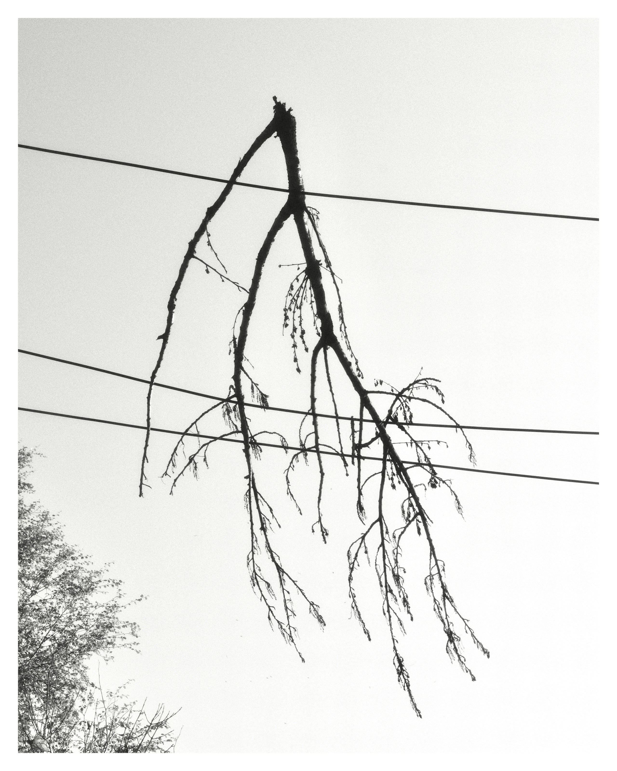 Природа. Фотограф Маргана Лоция