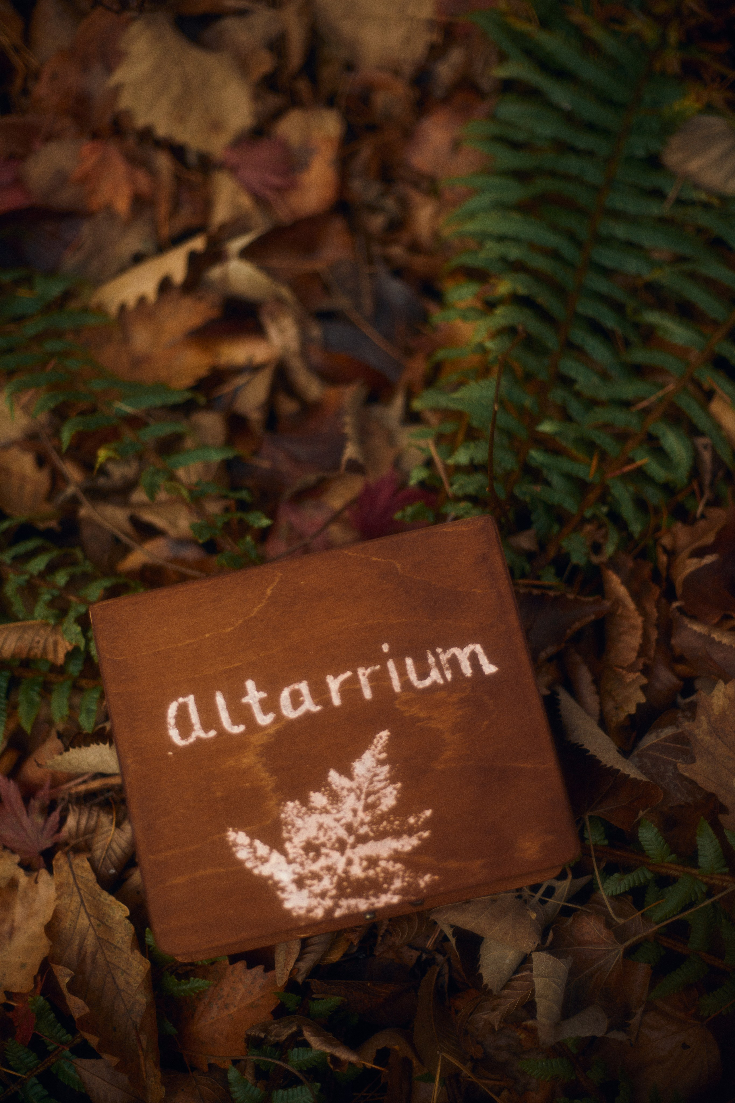 Духи. Фотограф Ионова Анастасия, г Владивосток