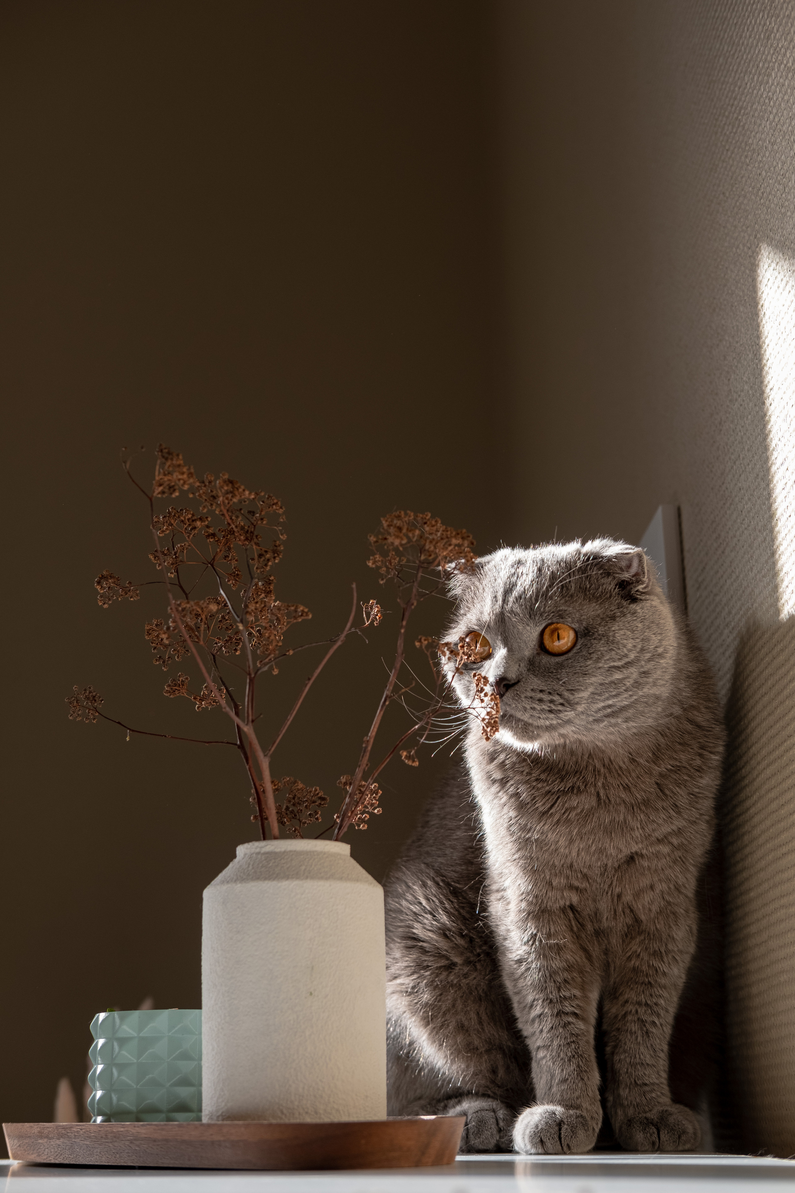 Мастер по изготовлению декора. Сайт предметного фотографа Белоусовой Анны