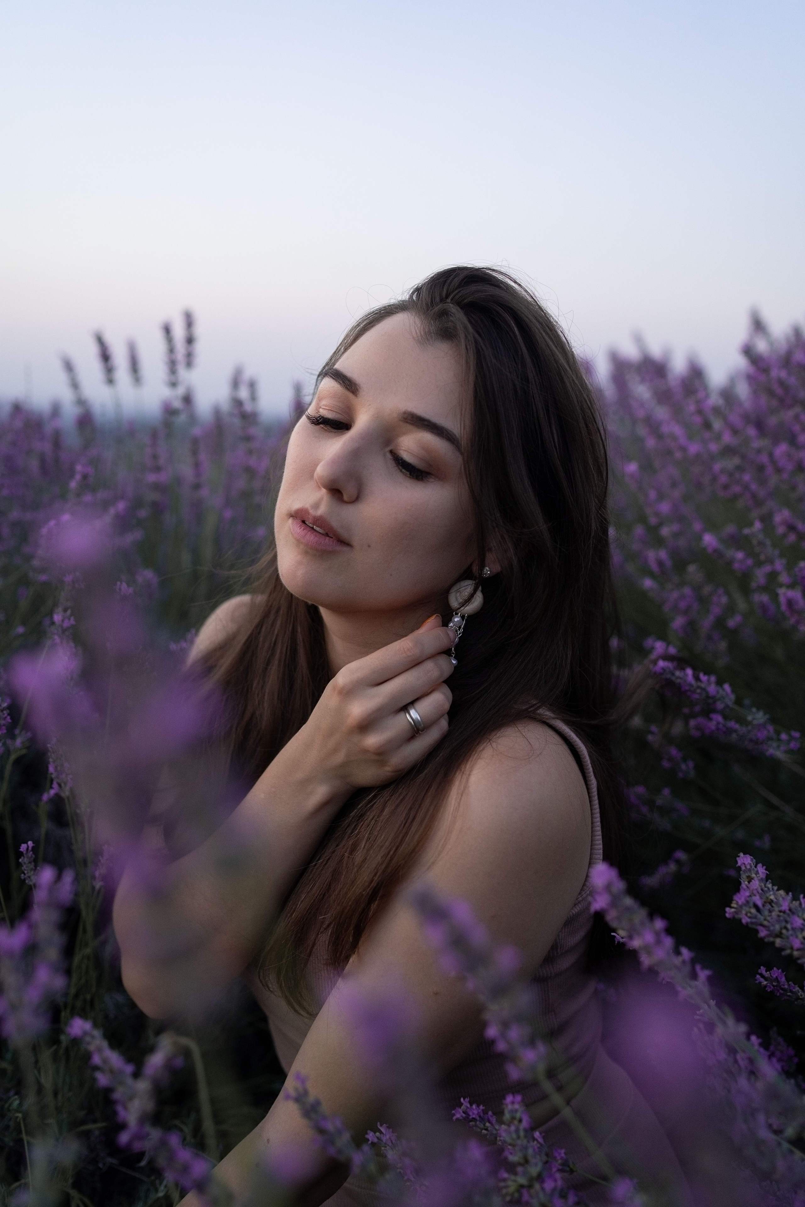 В лаванде. Фотограф анималист