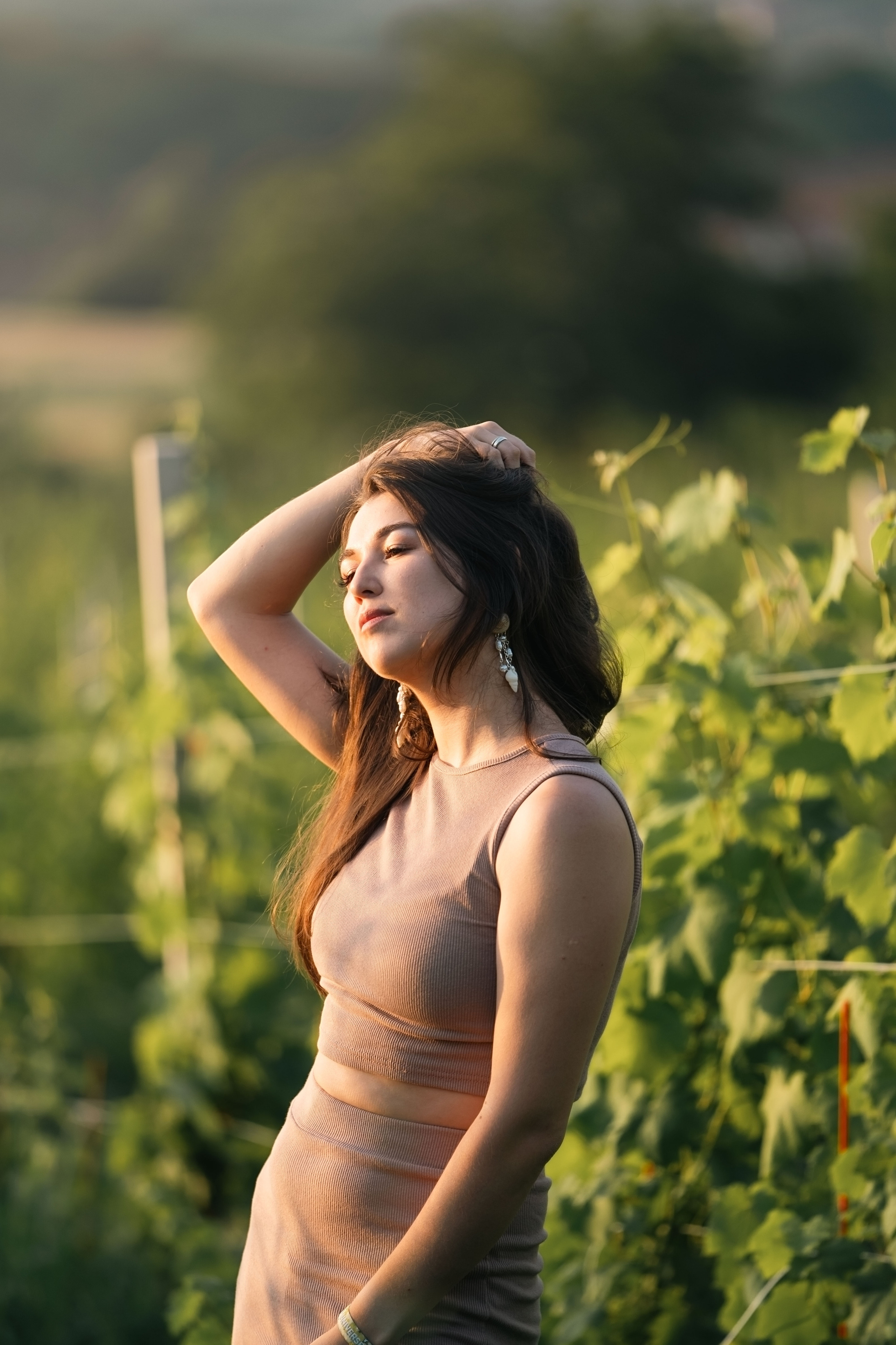 В лаванде. Фотограф анималист