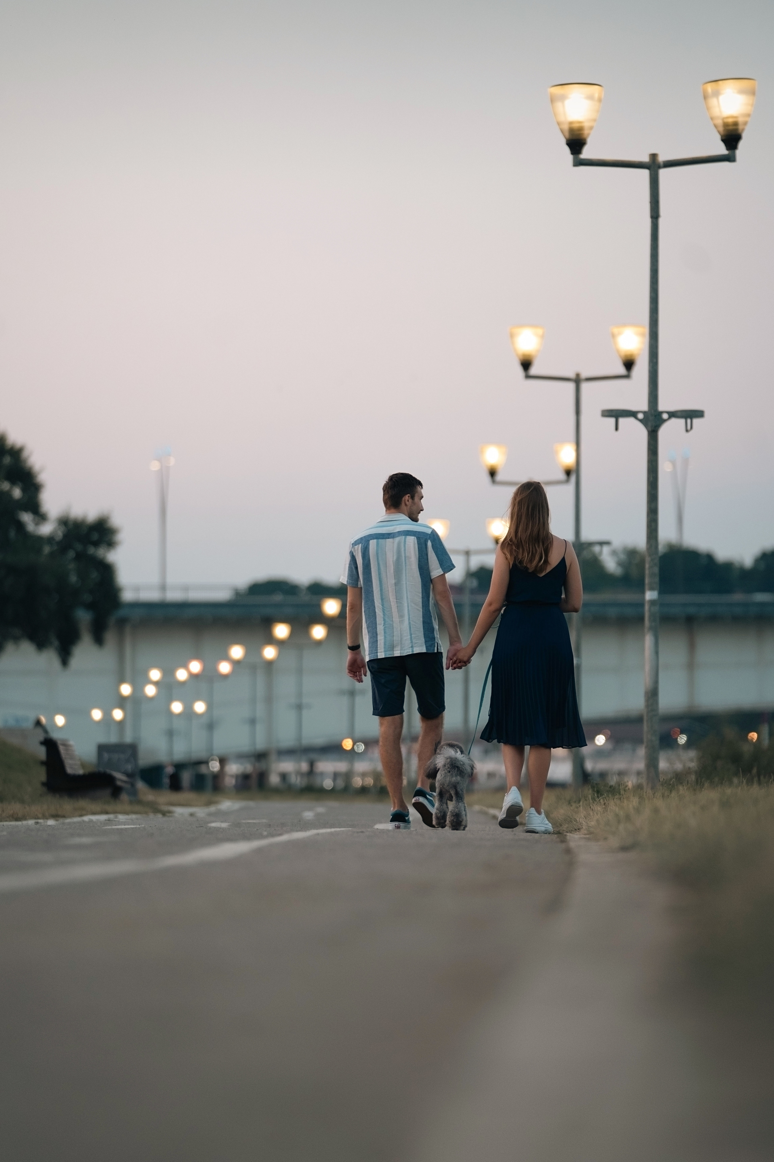 Отзывы. Фотограф анималист