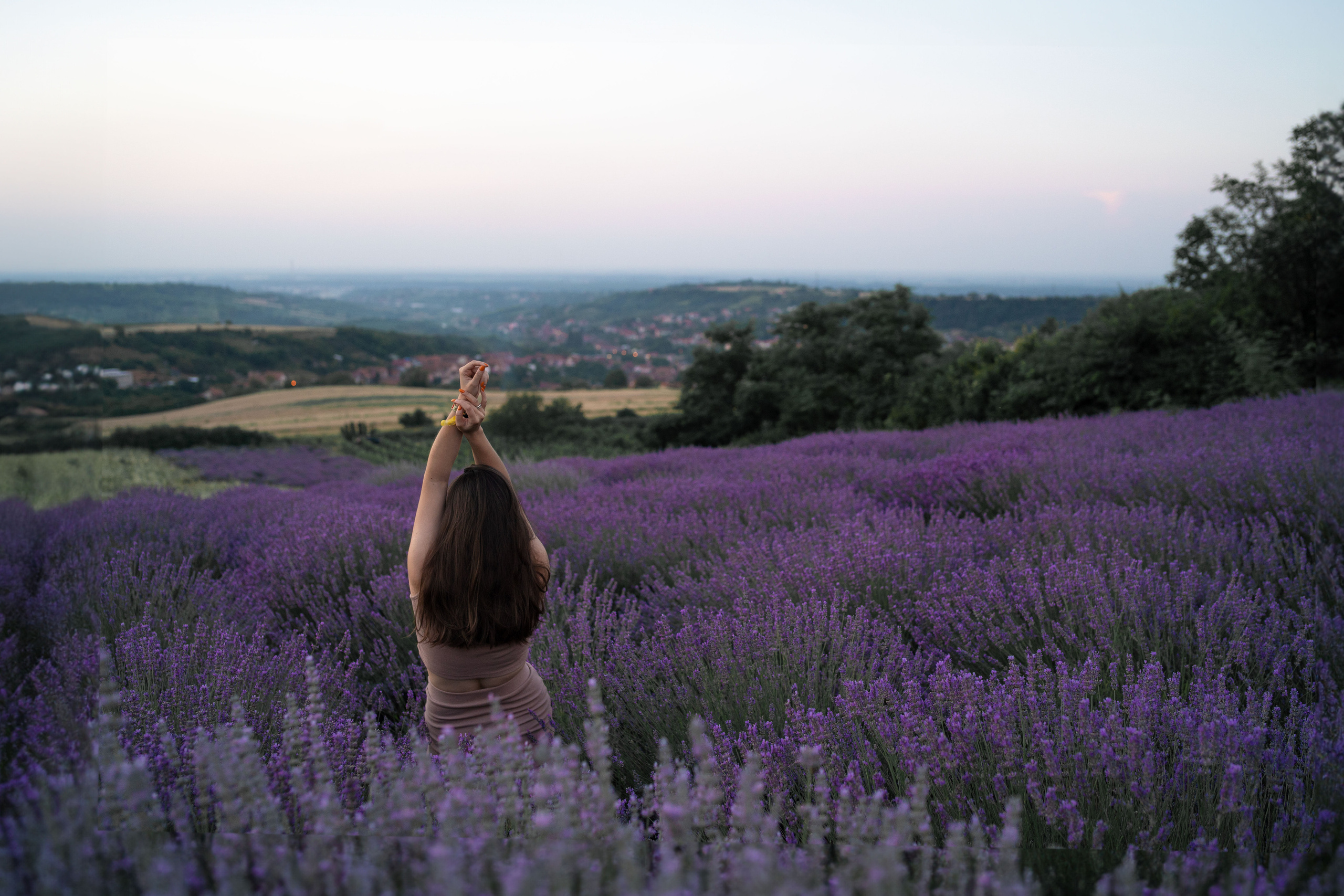 В лаванде. Фотограф анималист