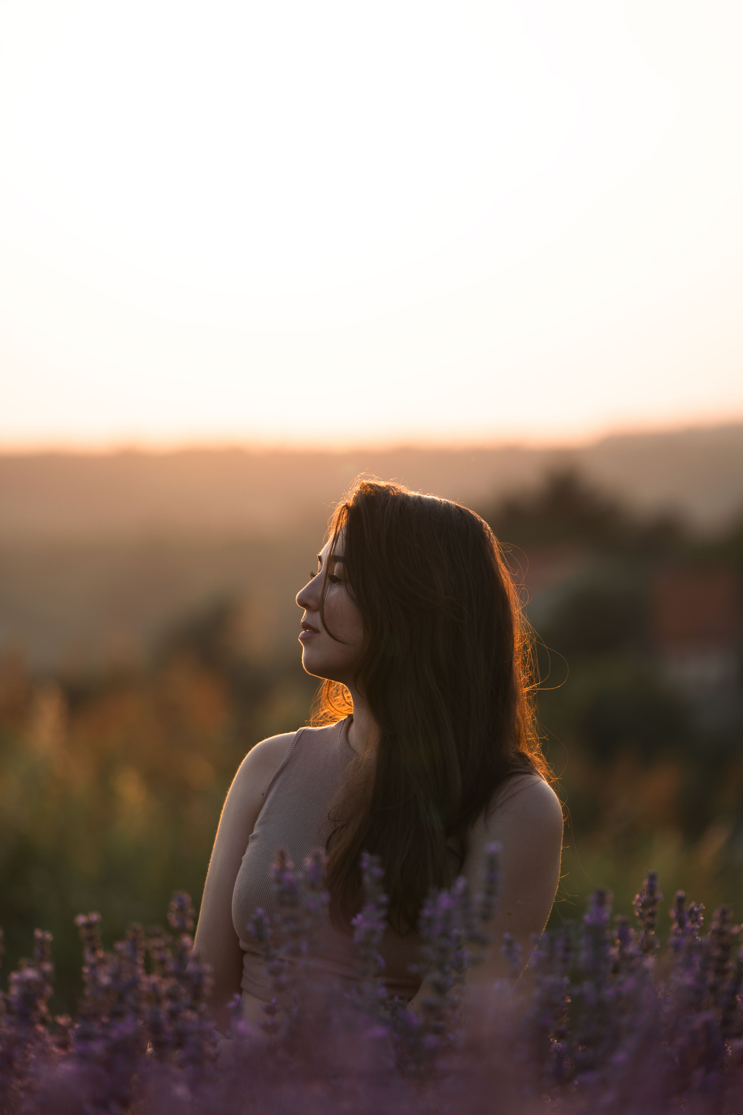 В лаванде. Фотограф анималист