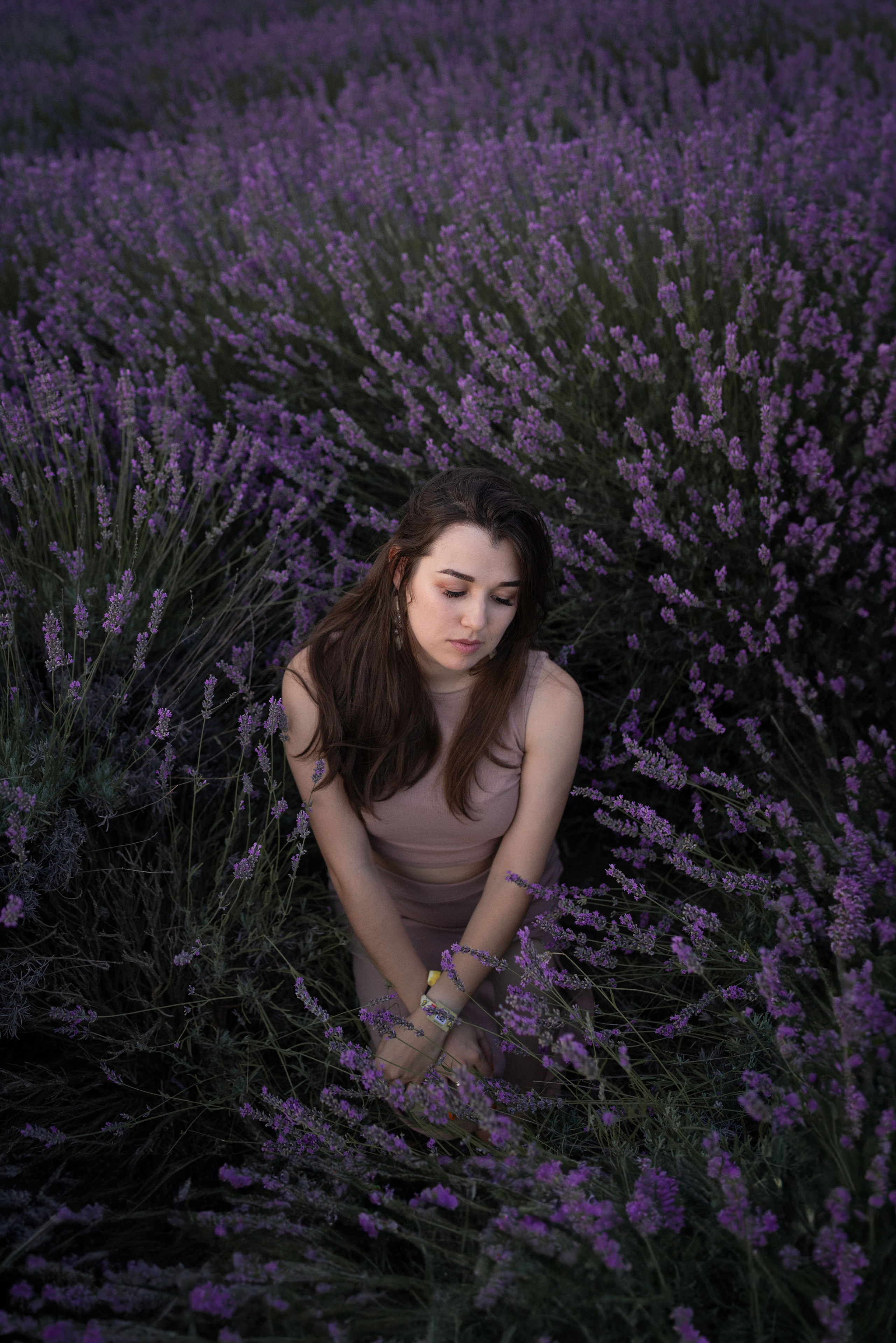 В лаванде. Фотограф анималист