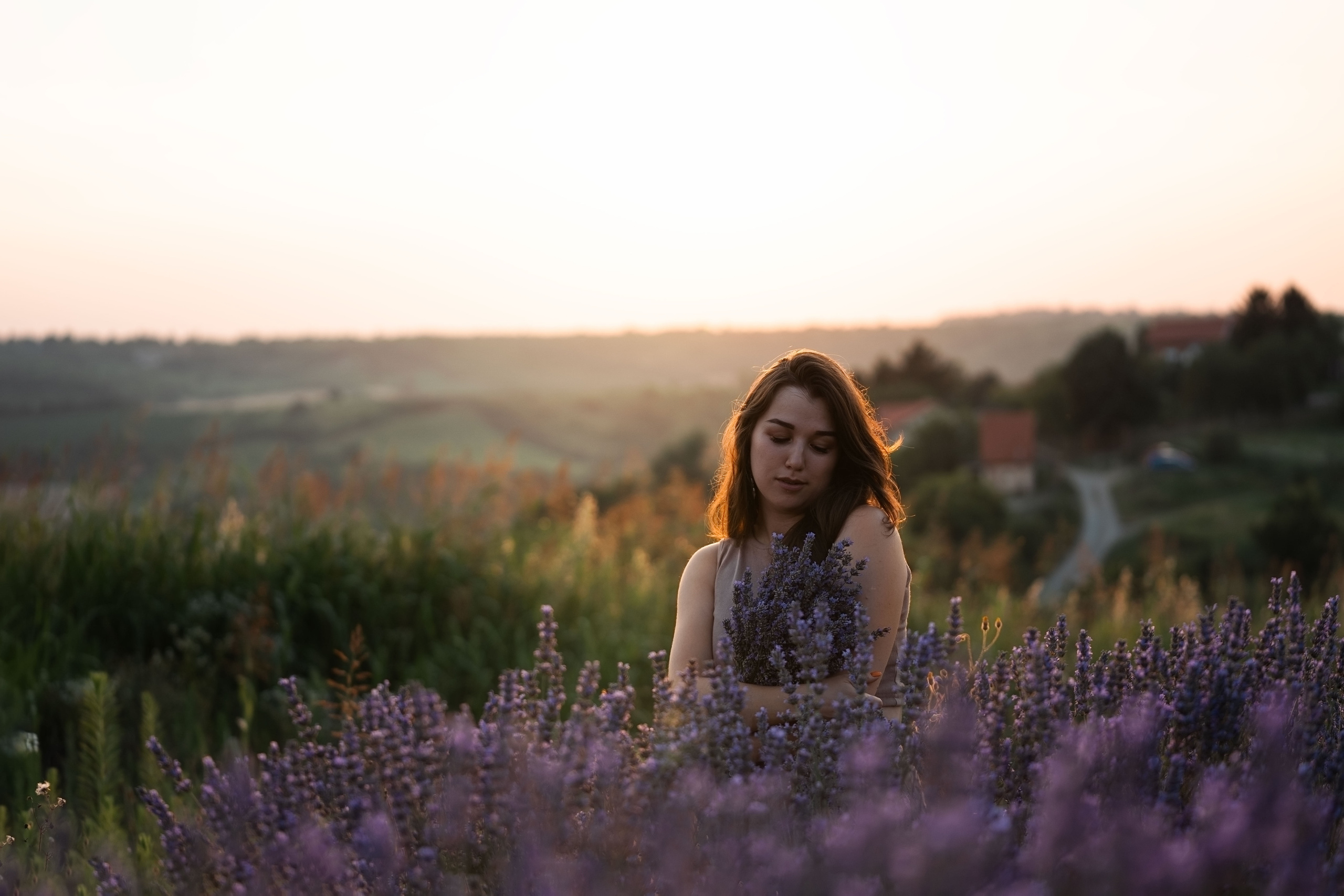 В лаванде. Фотограф анималист