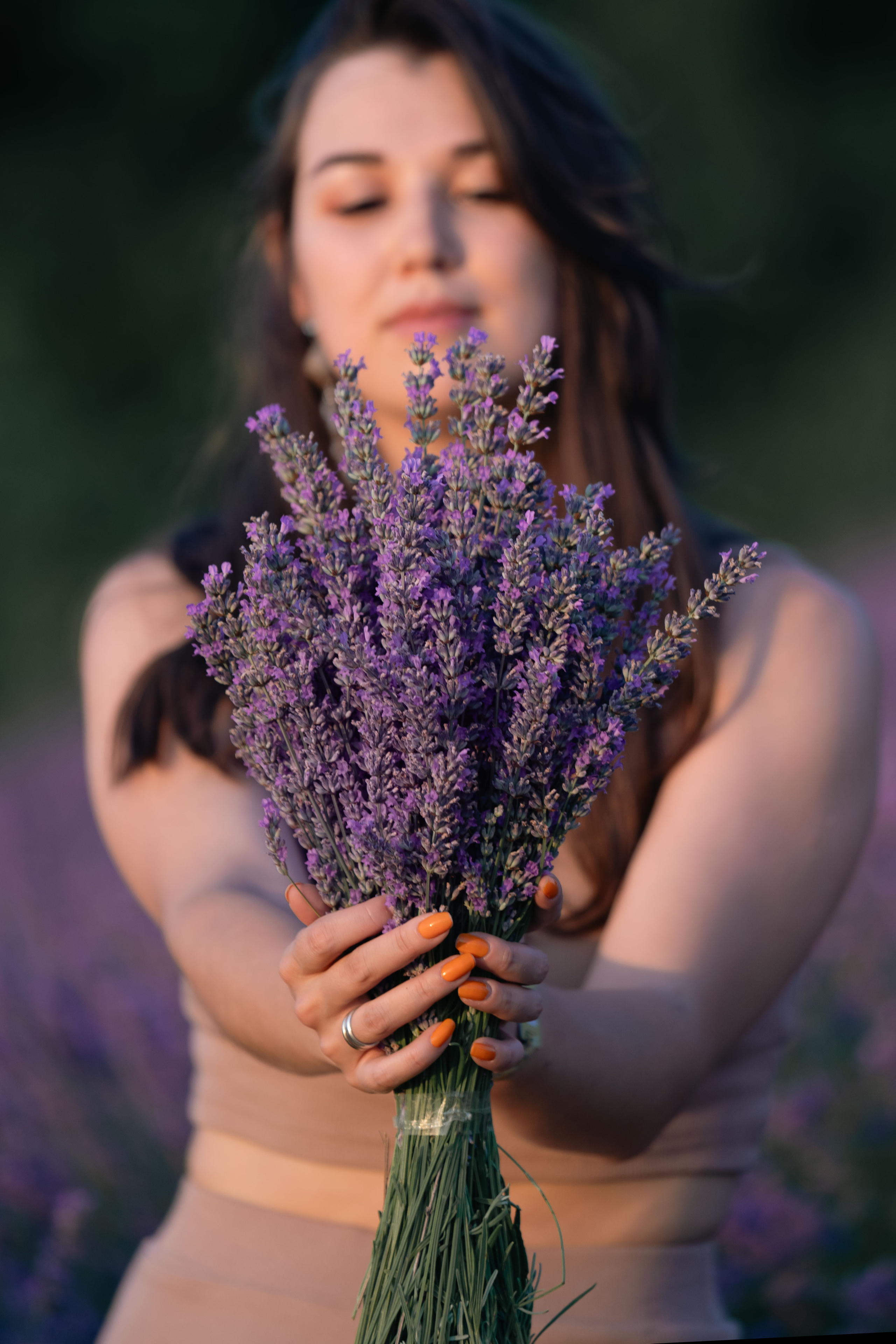 В лаванде. Фотограф анималист