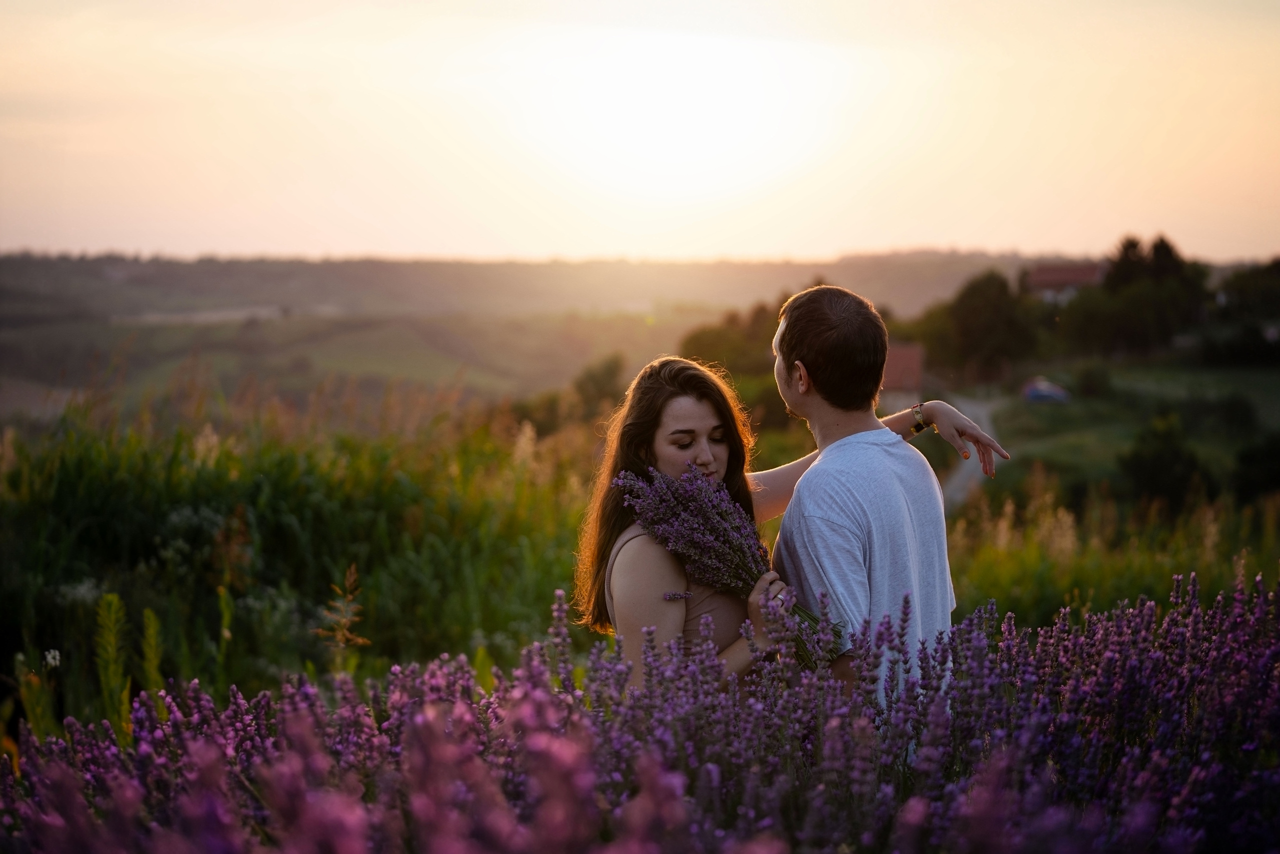 В лаванде. Фотограф анималист